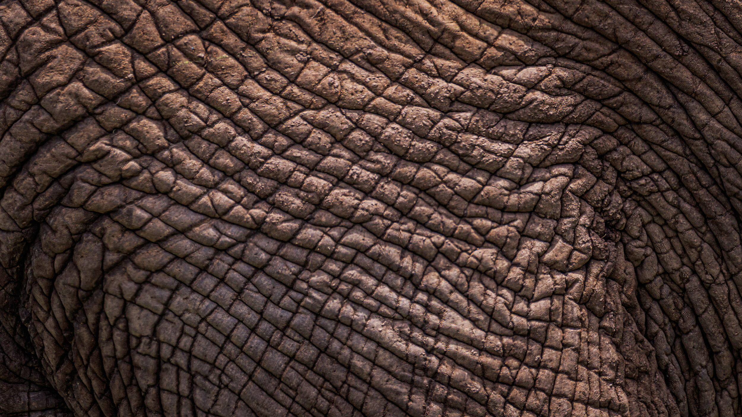 Safaricom_NatGeo_171018_10843.jpg