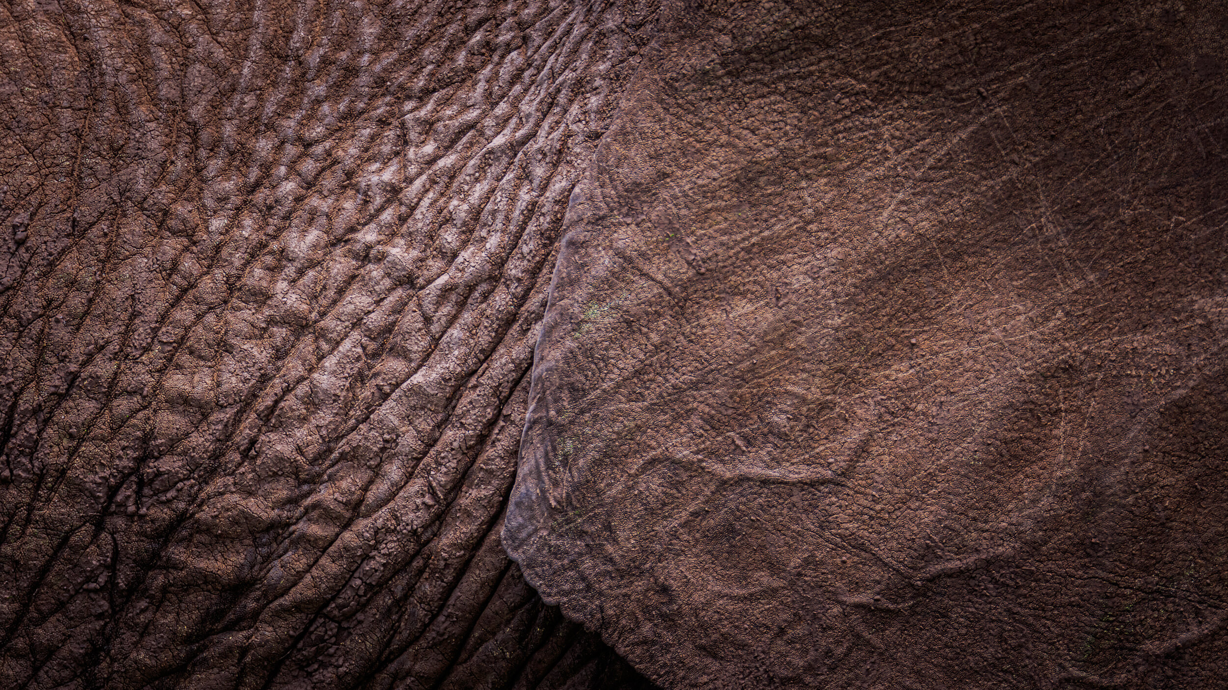 Safaricom_NatGeo_171018_12013.jpg