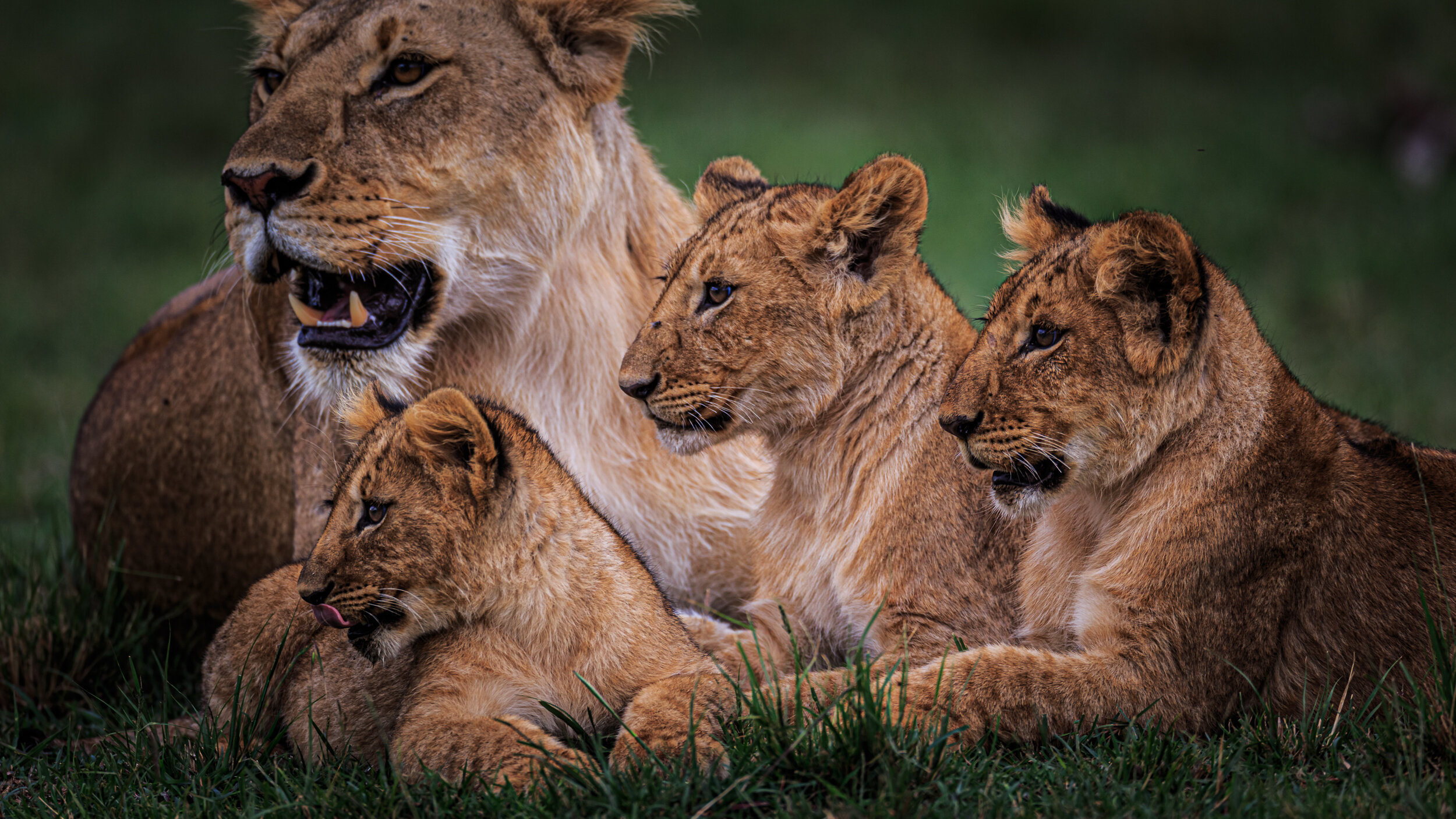 Safaricom_NatGeo_171018_12201.jpg