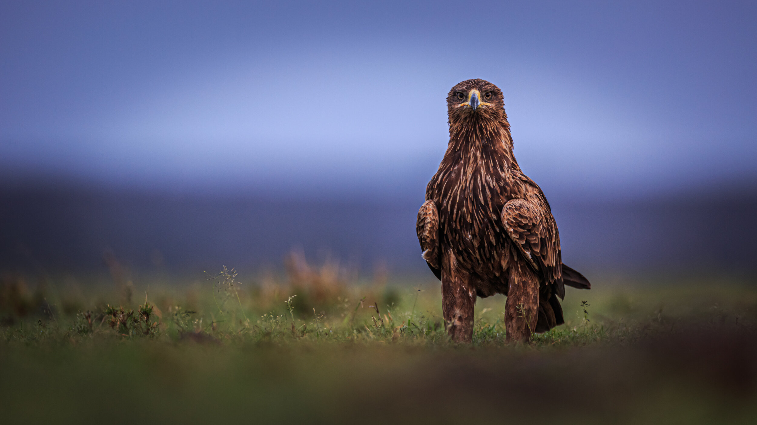 Safaricom_NatGeo_171019_13806.jpg