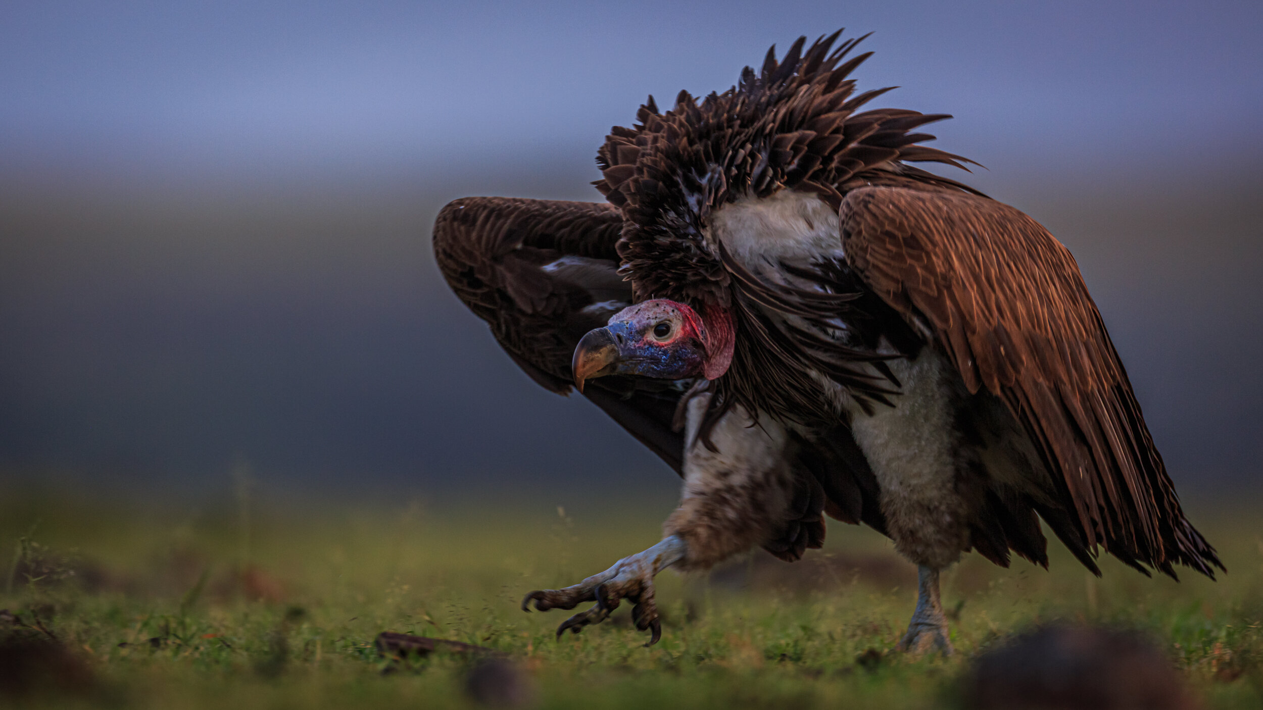 Safaricom_NatGeo_171019_14196.jpg
