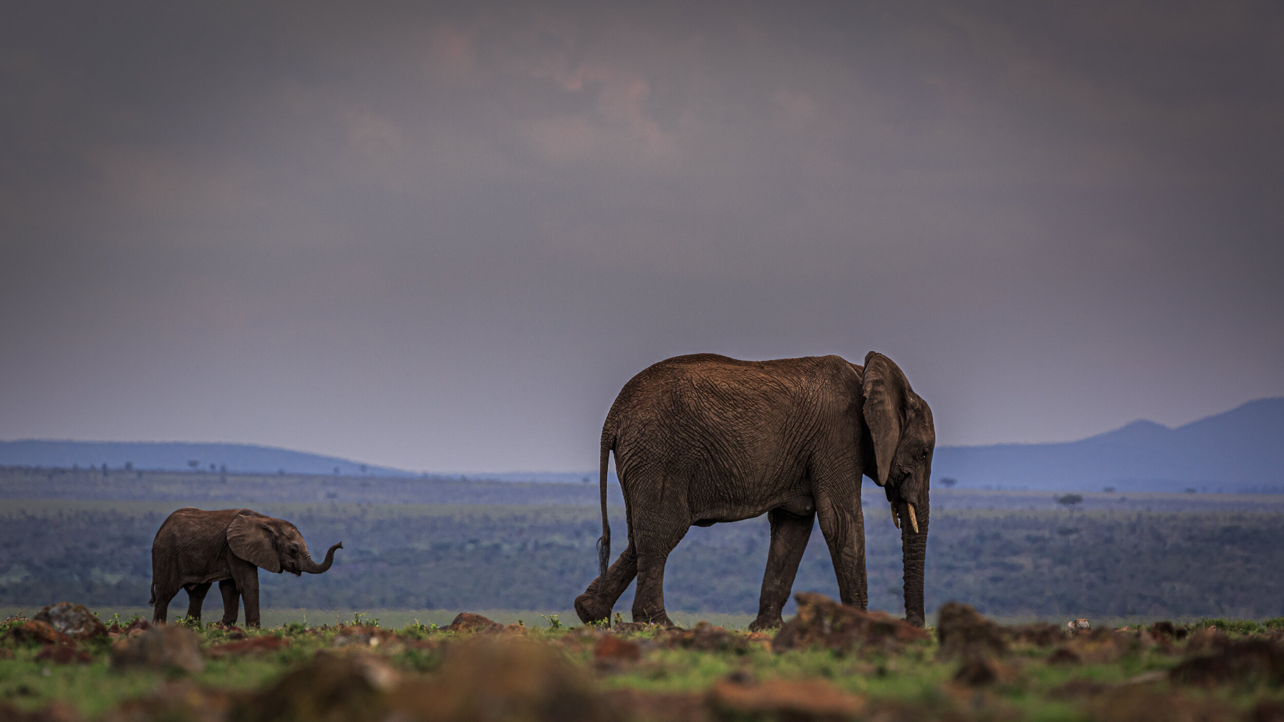 Safaricom_NatGeo_171019_14384.jpg