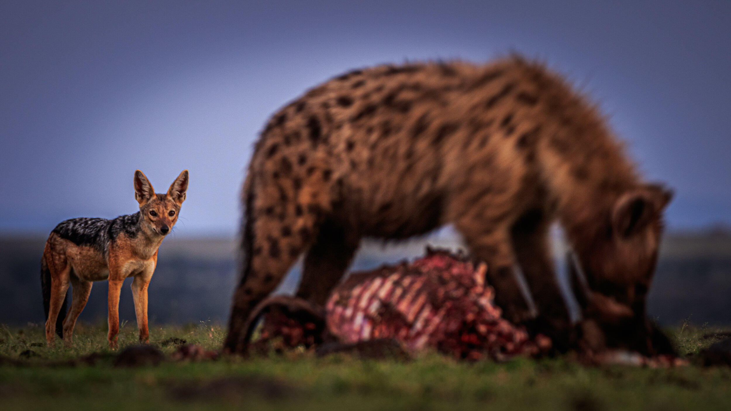 Safaricom_NatGeo_171019_14897.jpg