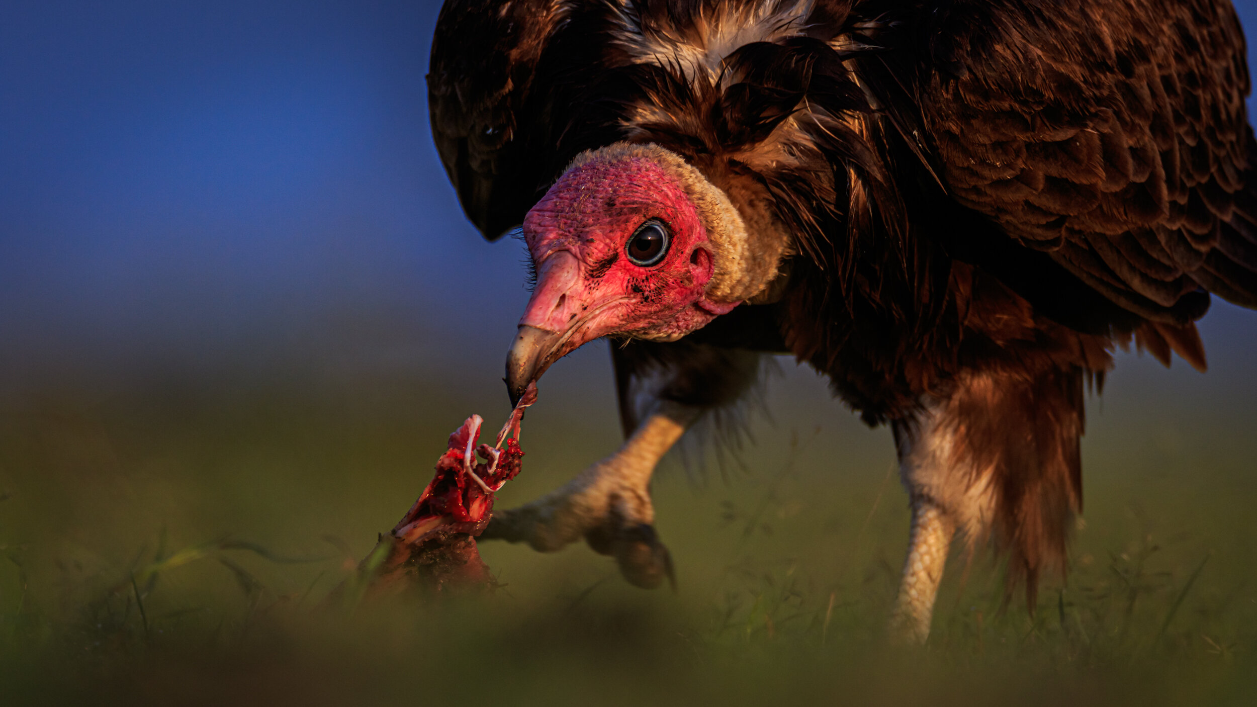 Safaricom_NatGeo_171019_15452.jpg