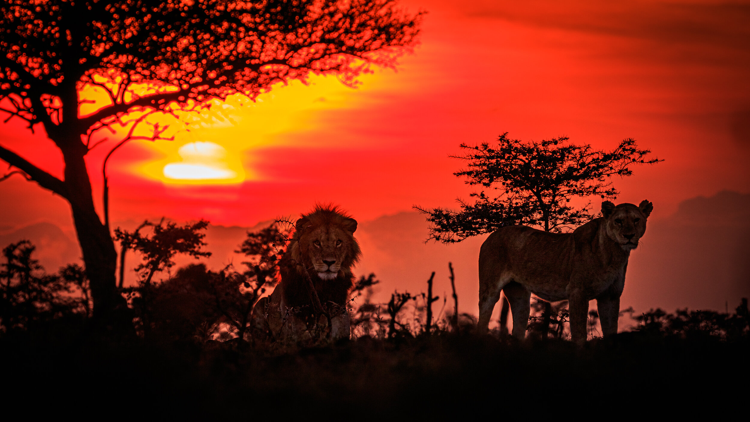 Safaricom_NatGeo_171020_18015.jpg