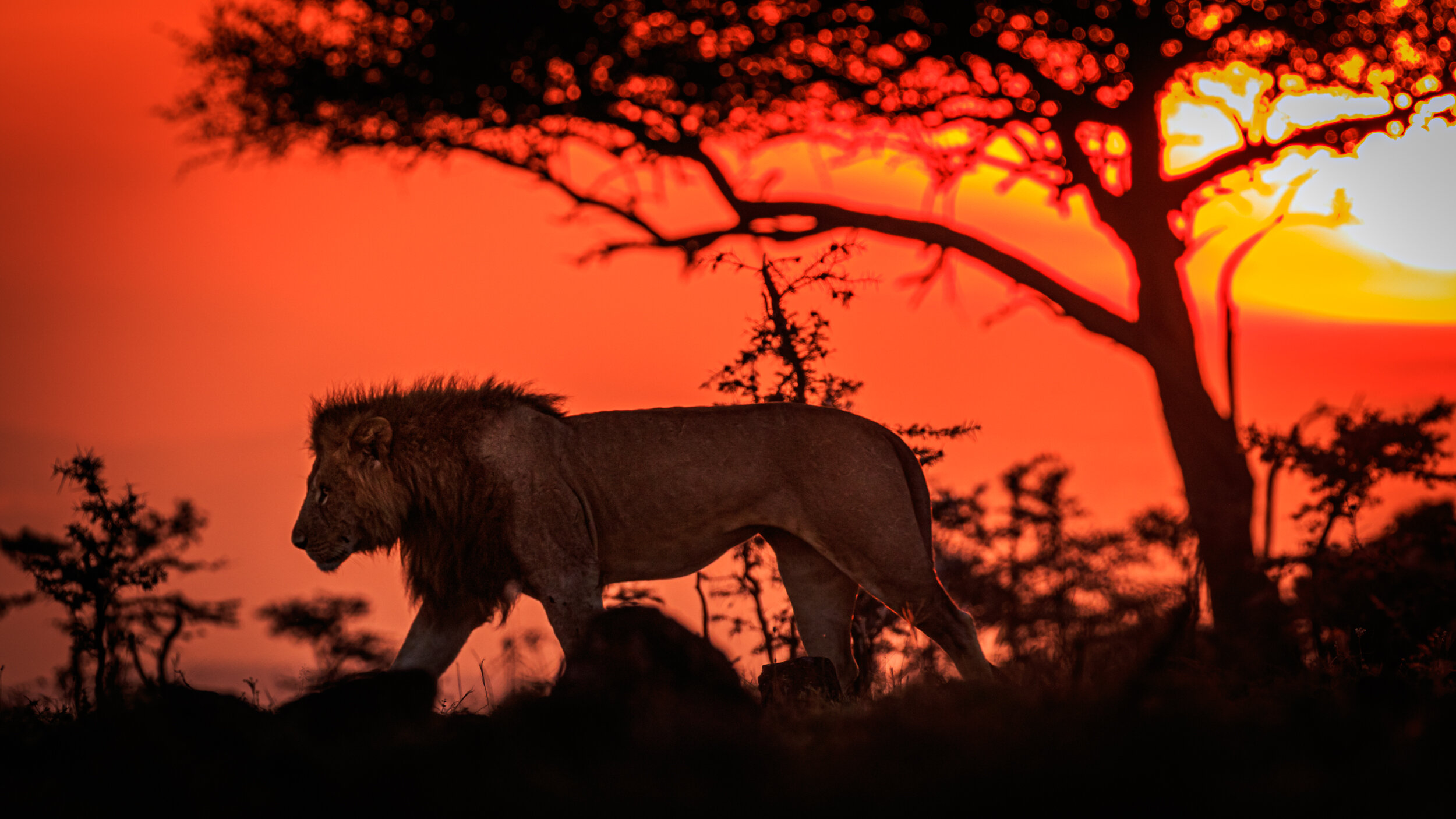 Safaricom_NatGeo_171020_18202.jpg