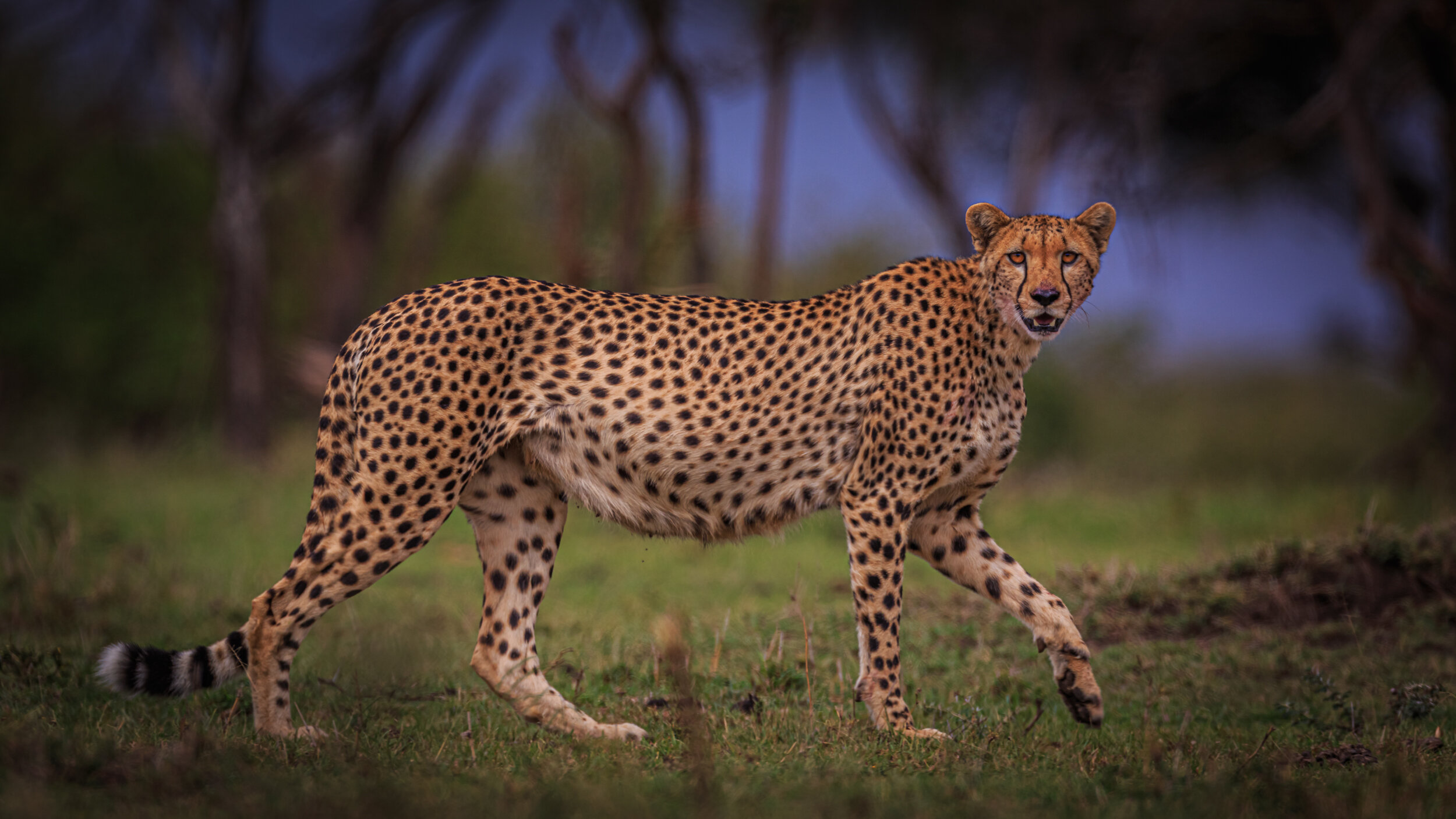 Safaricom_NatGeo_171020_22248.jpg