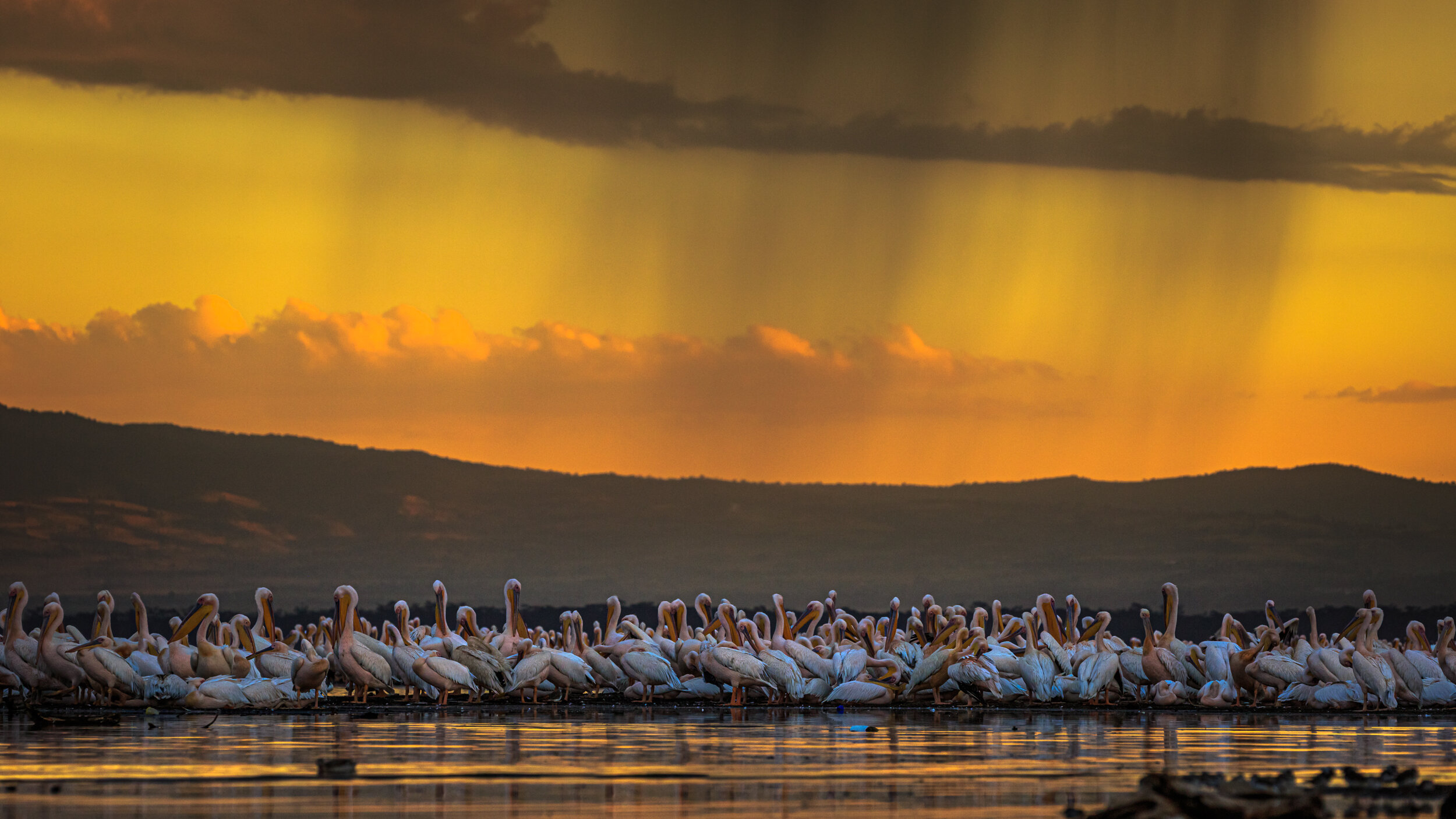 Safaricom_NatGeo_171022_23442.jpg