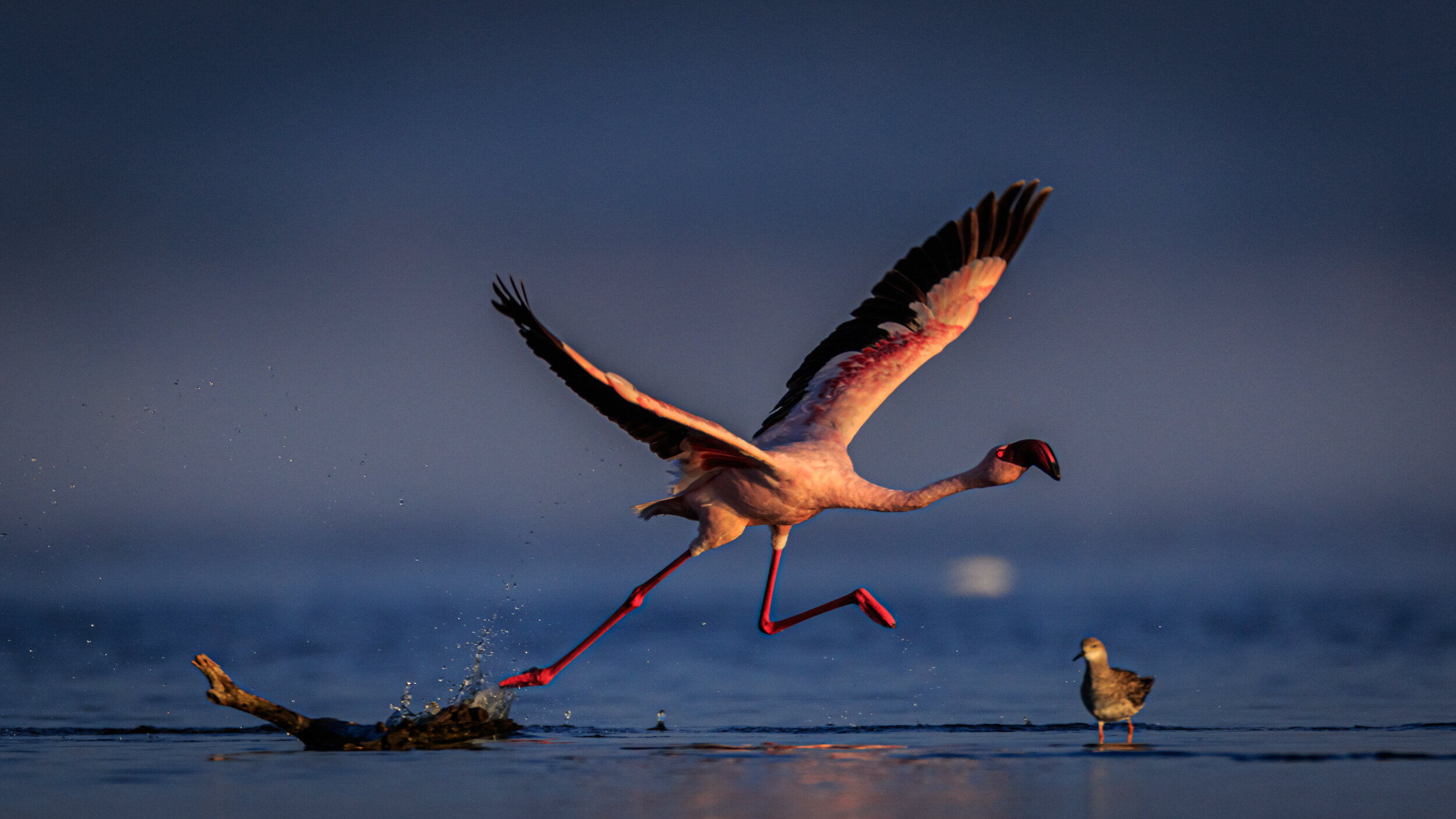Safaricom_NatGeo_171022_23578.jpg