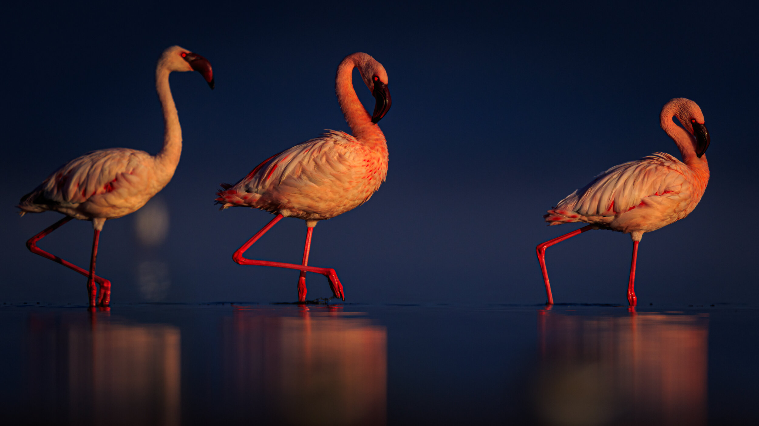 Safaricom_NatGeo_171022_23643.jpg