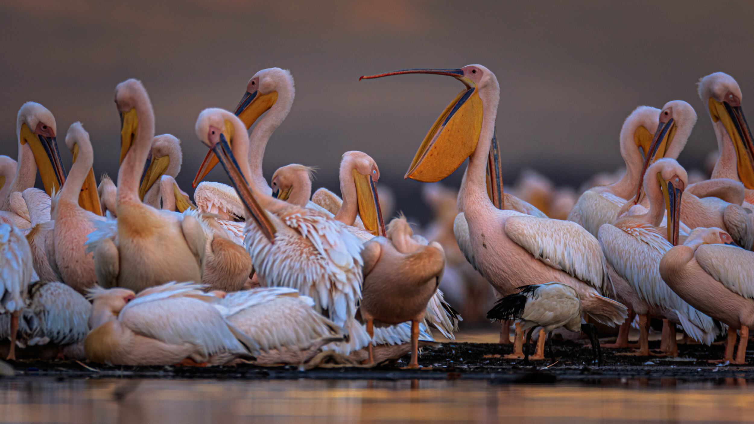 Safaricom_NatGeo_171022_25391.jpg