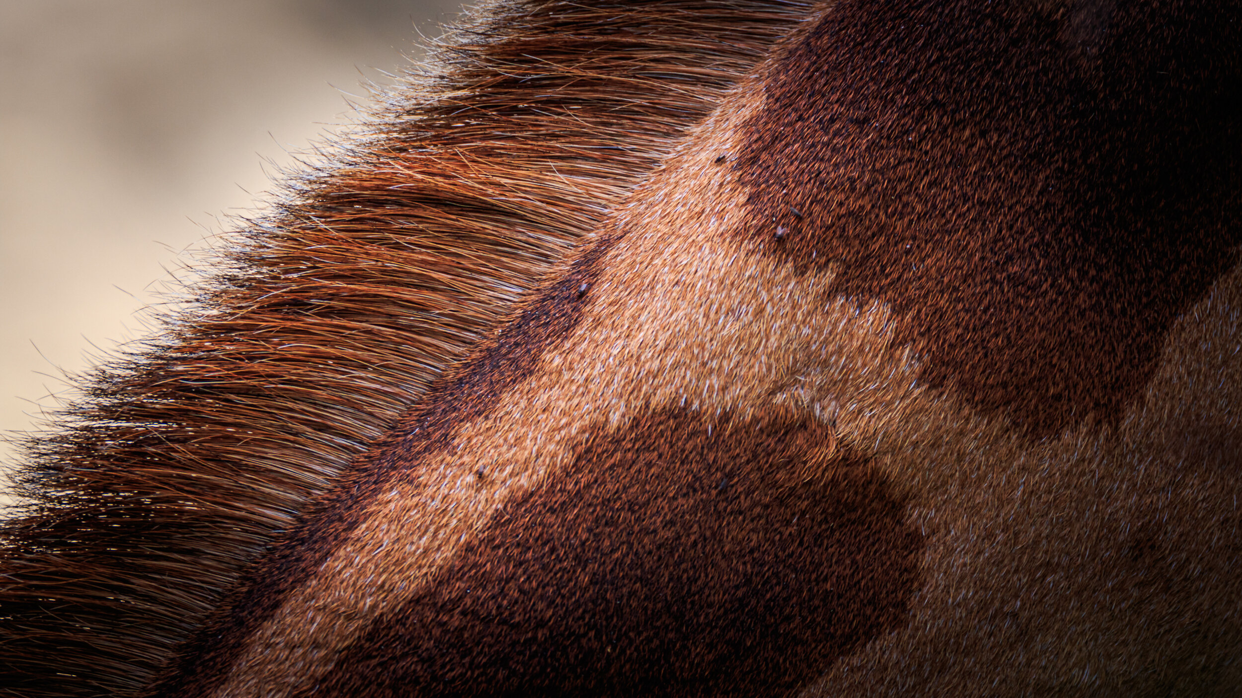 Safaricom_Natgeo_171023_26987.jpg