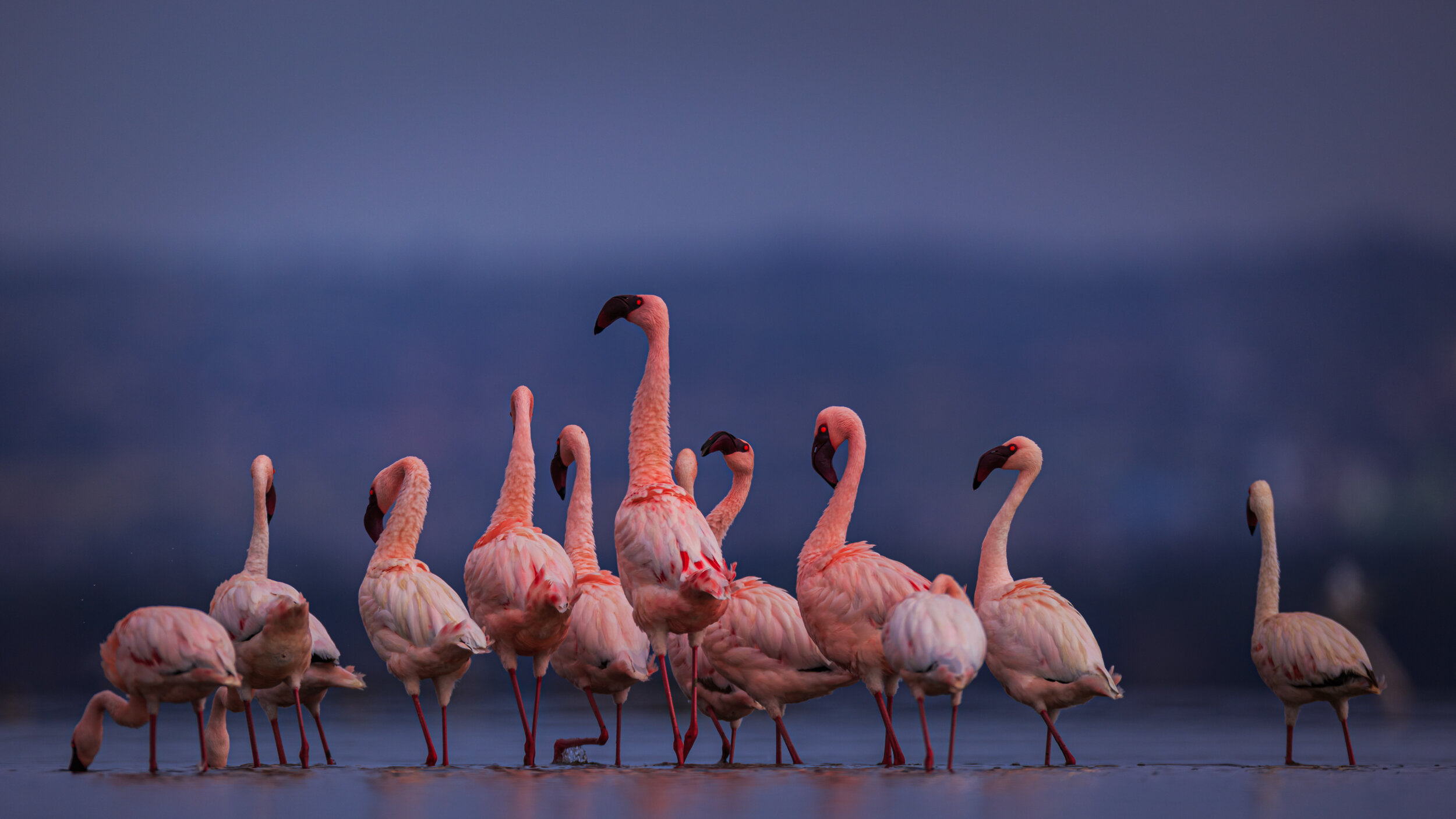Safaricom_NatGeo_171024_29888.jpg