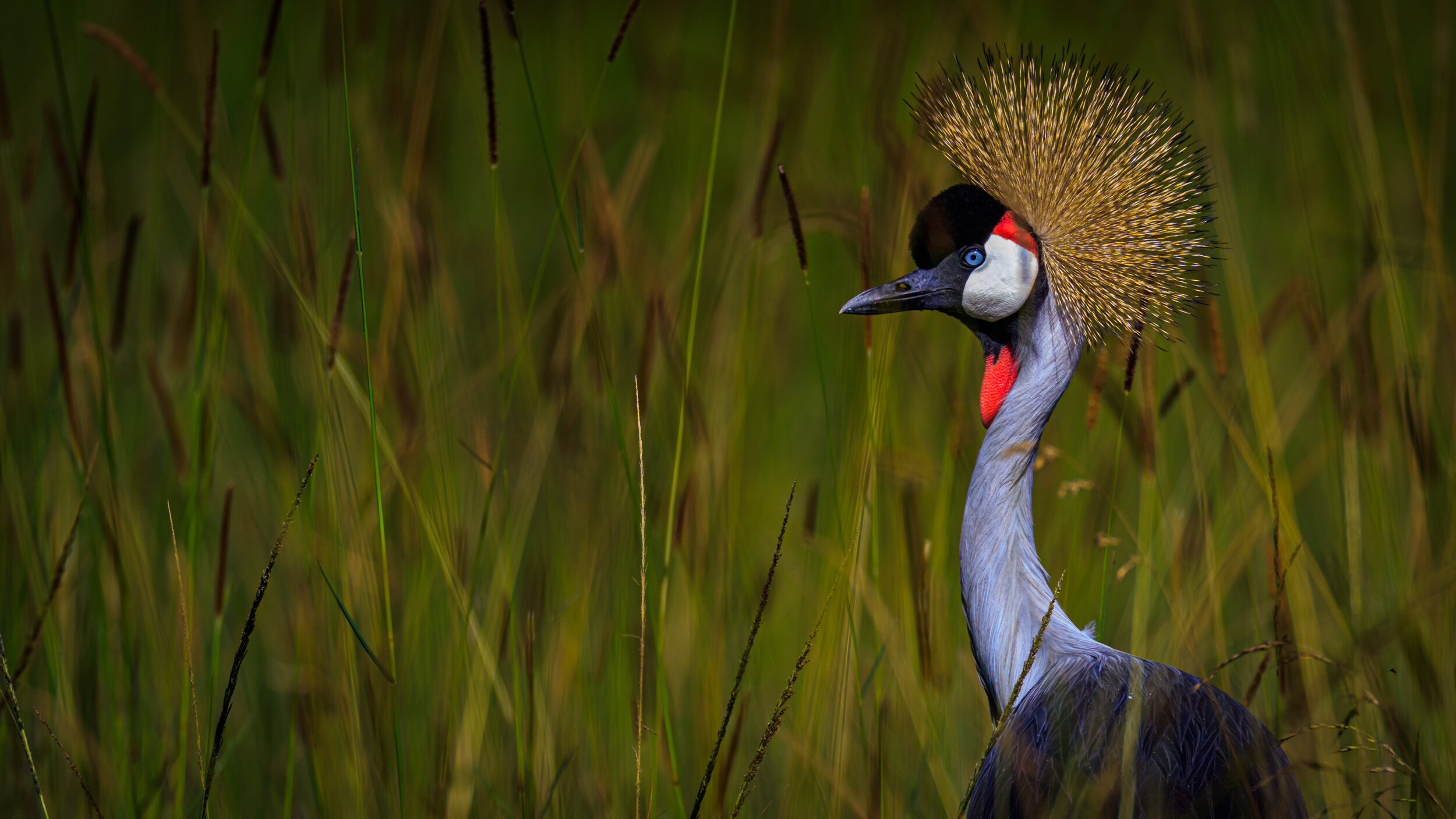 Safaricom_NatGeo_171025_32811.jpg