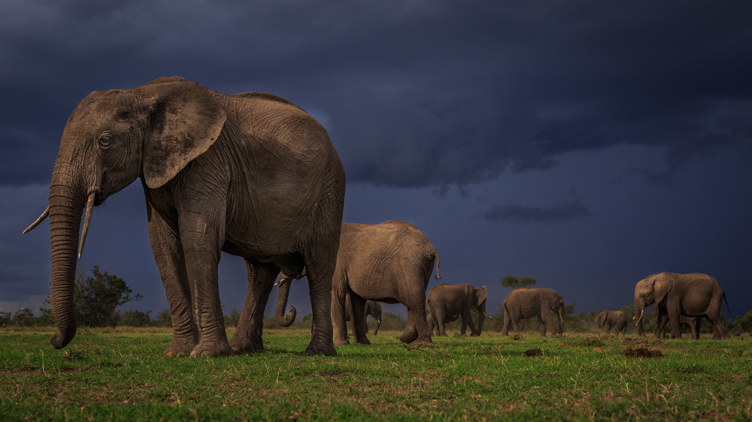 Safaricom_NatGeo_171025_35396.jpg