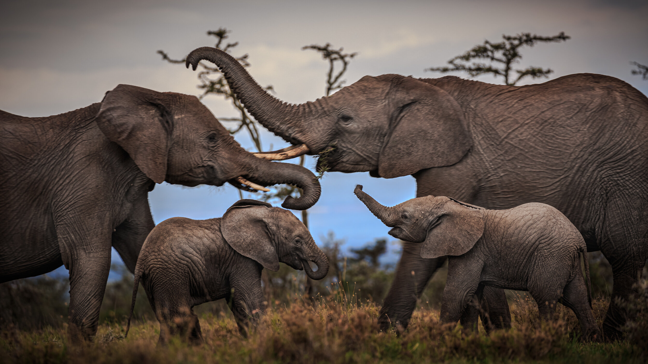 Safaricom_NatGeo_171025_35763.jpg