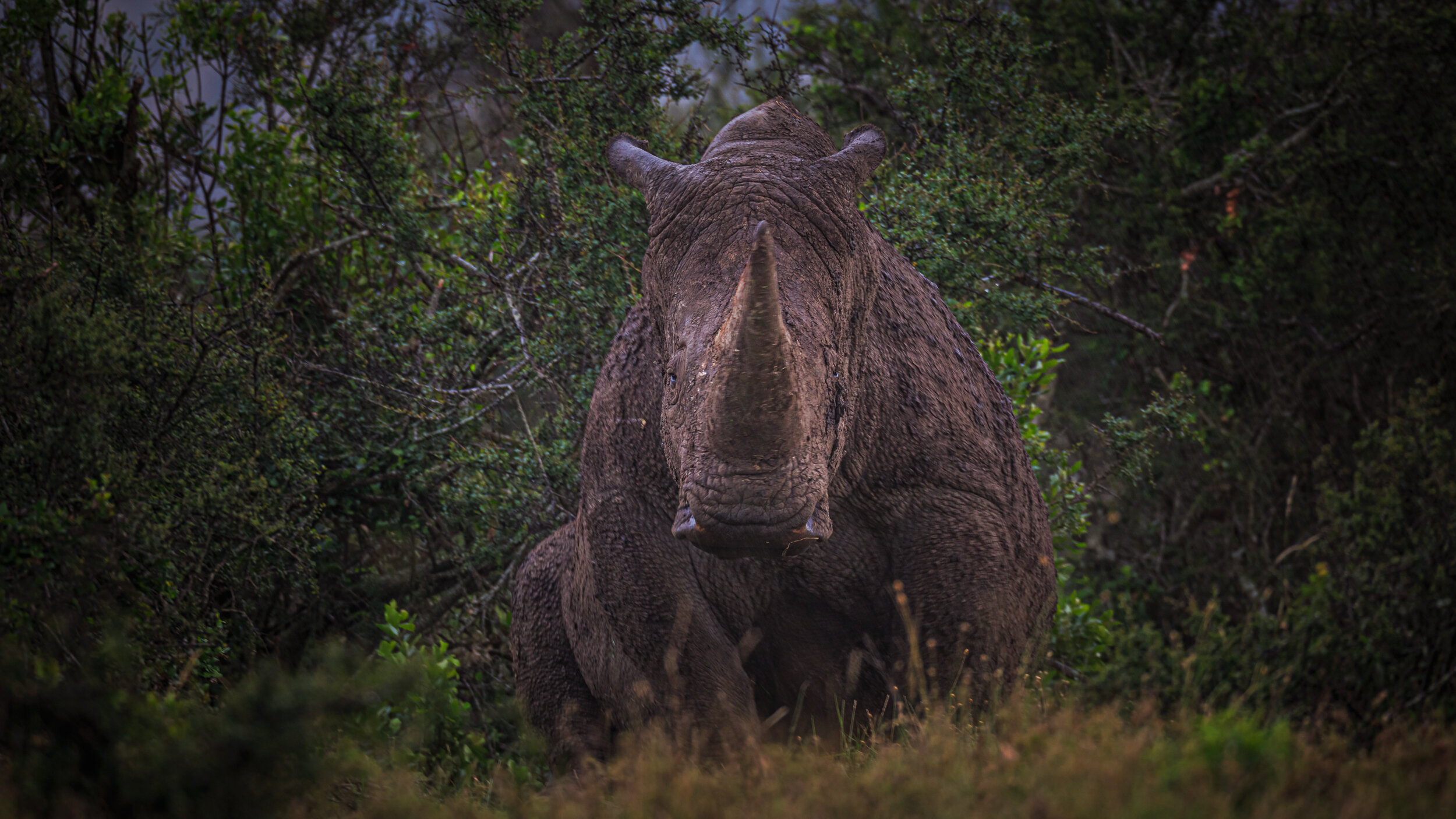 Safaricom_NatGeo_171025_35789.jpg