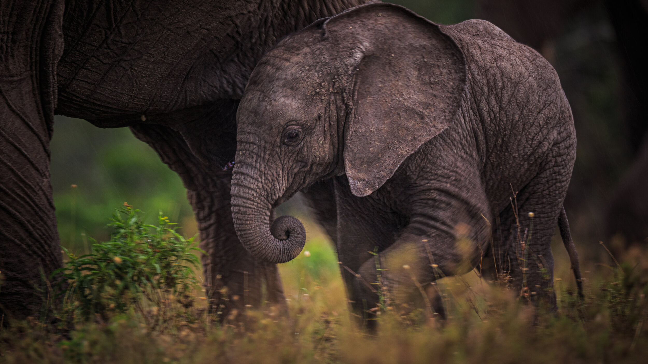 Safaricom_NatGeo_171025_36140.jpg