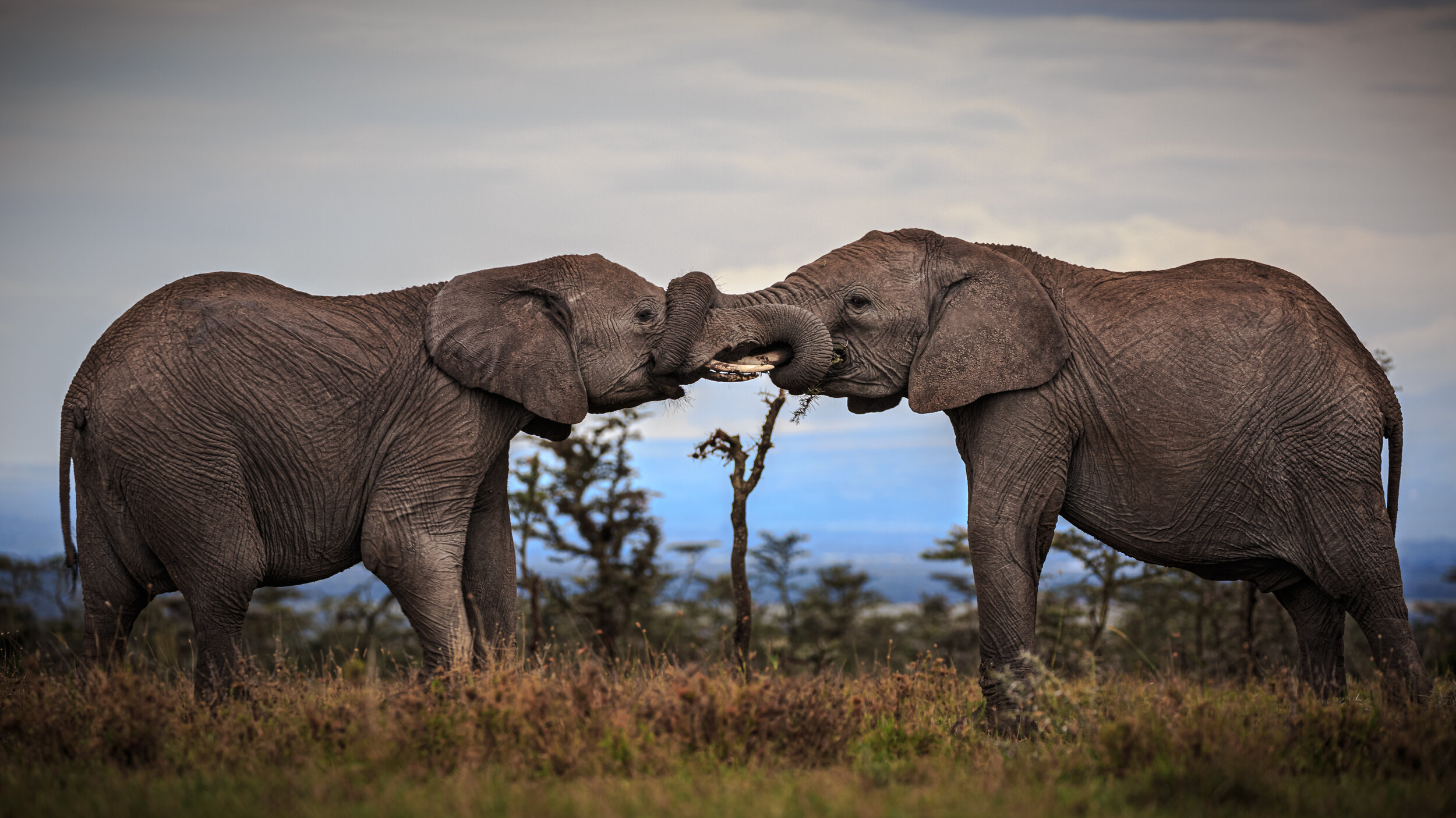 Safaricom_NatGeo_171025_36389.jpg