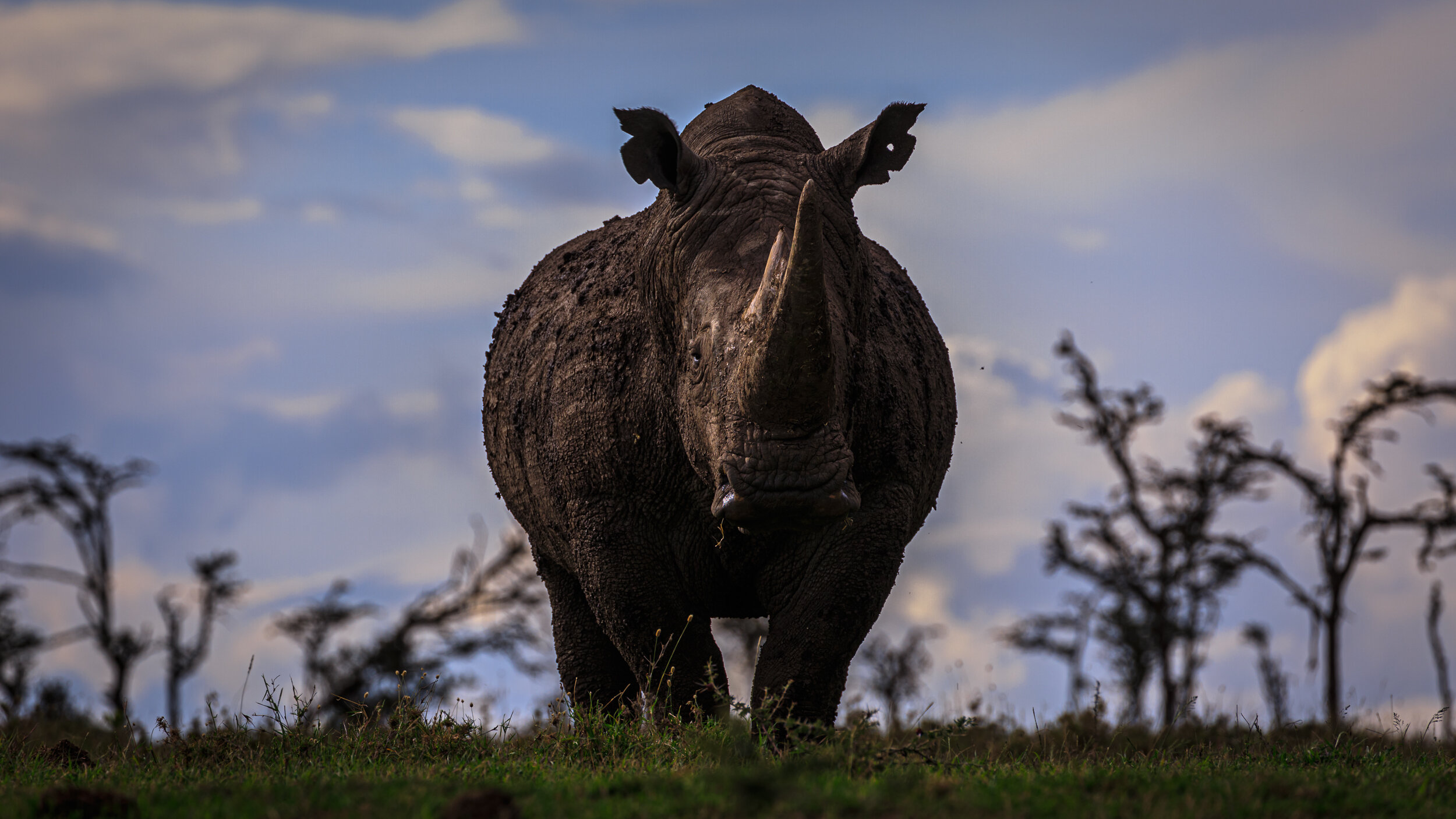 Safaricom_NatGeo_171025_37376.jpg