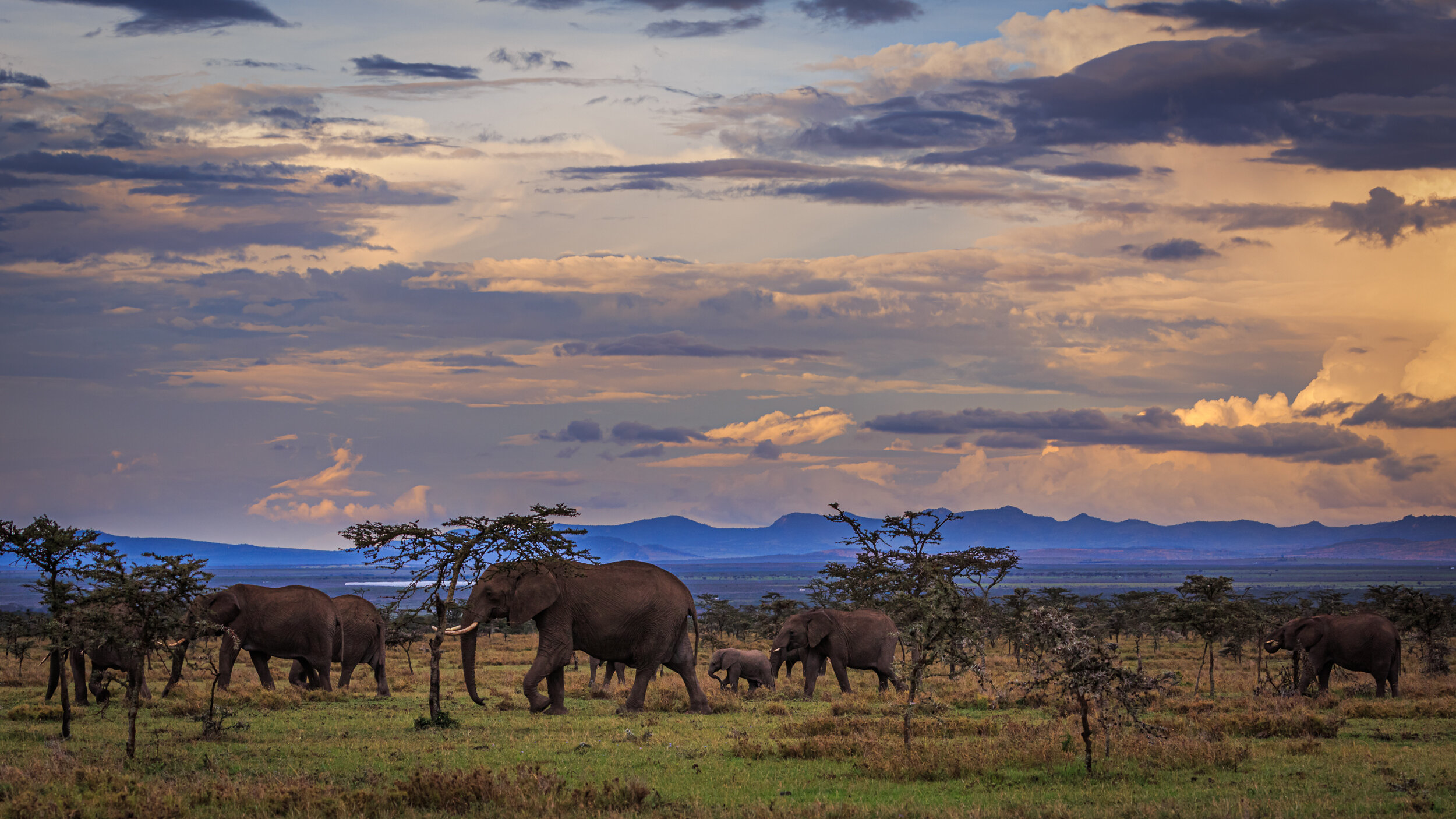 Safaricom_NatGeo_171025_37464.jpg