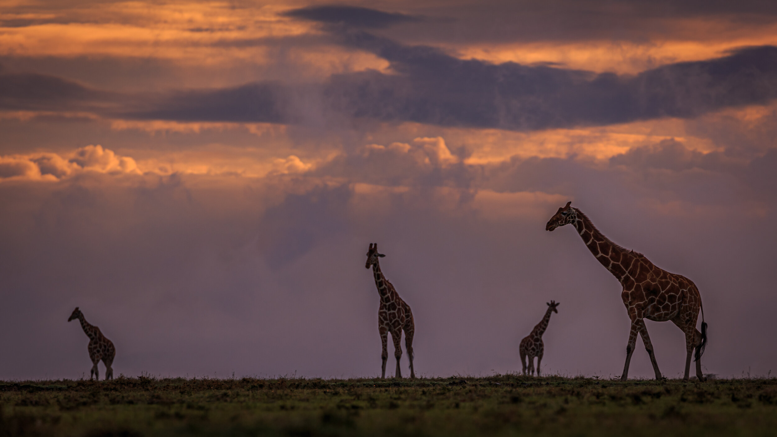 Safaricom_NatGeo_171026_37679.jpg