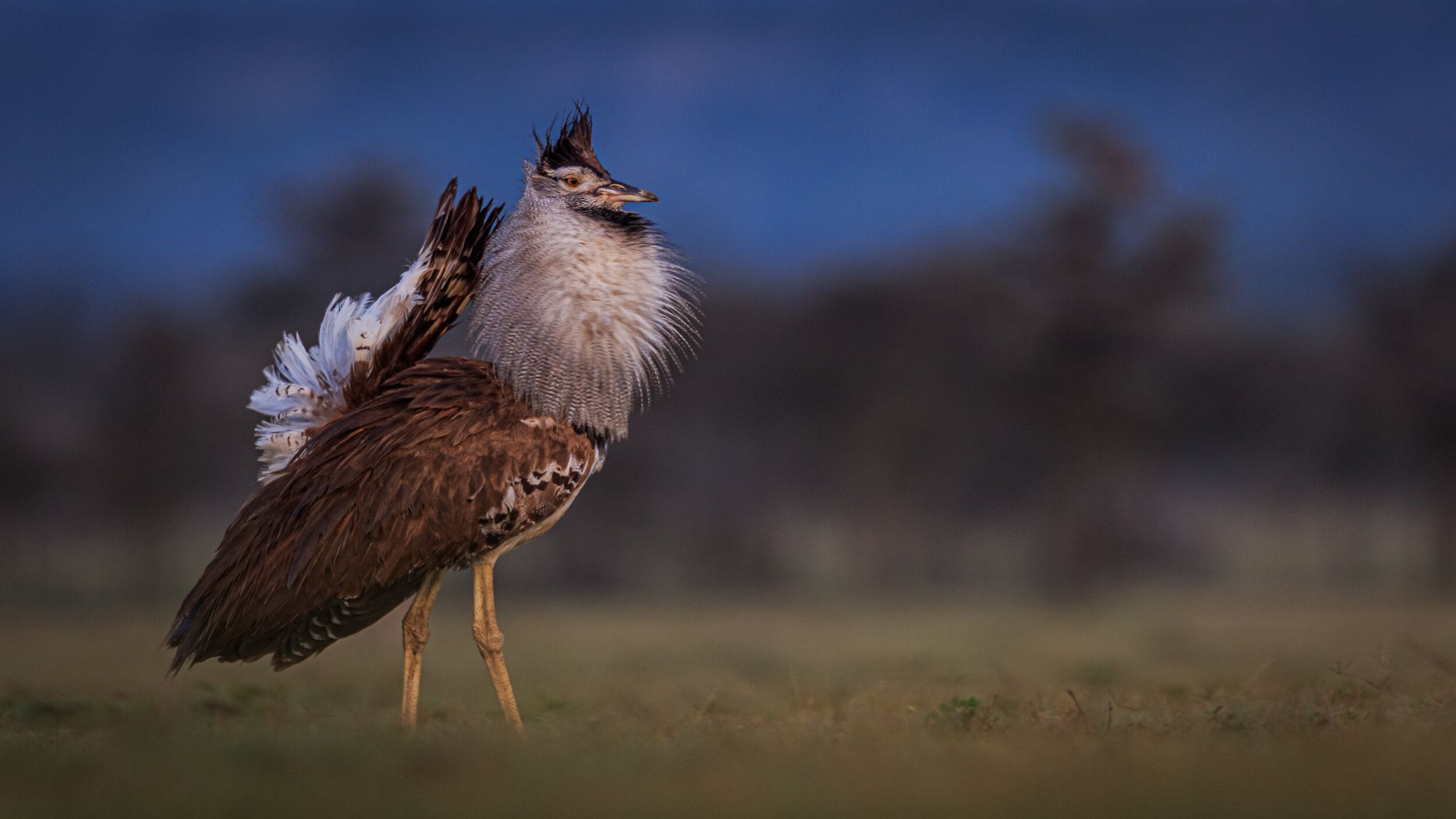 Safaricom_NatGeo_171026_39416.jpg