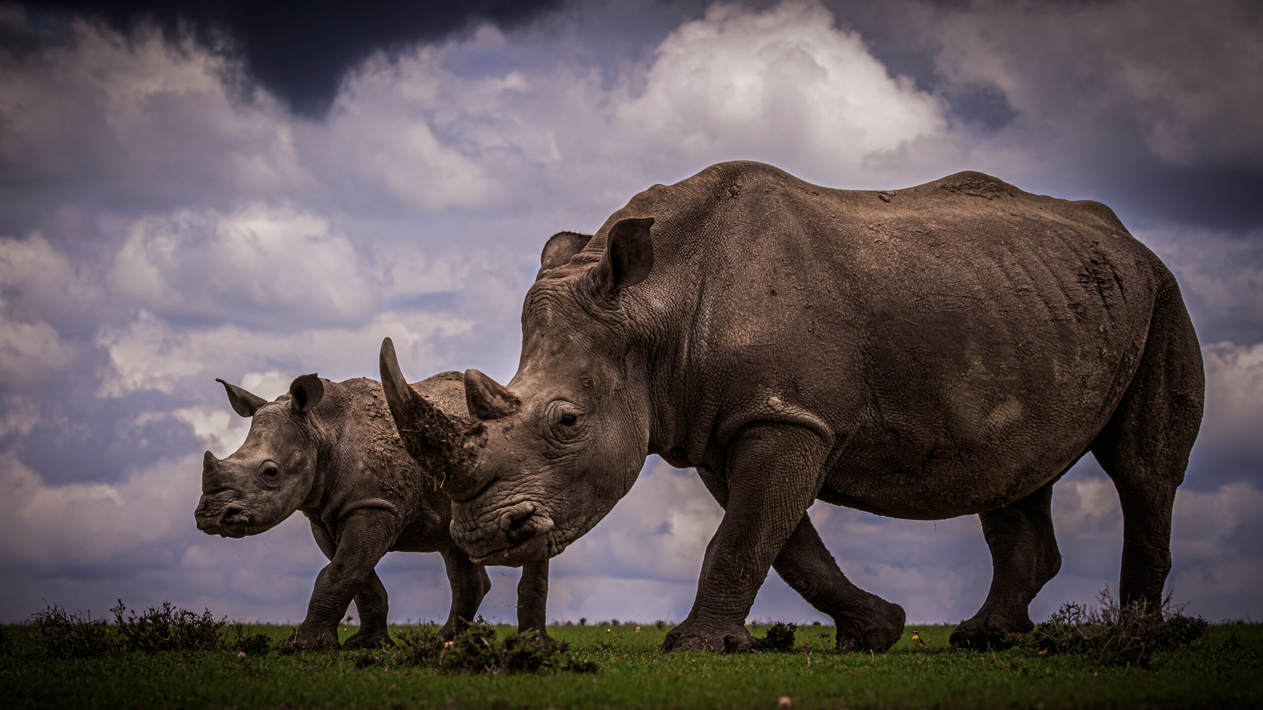 Safaricom_NatGeo_171026_43402.jpg