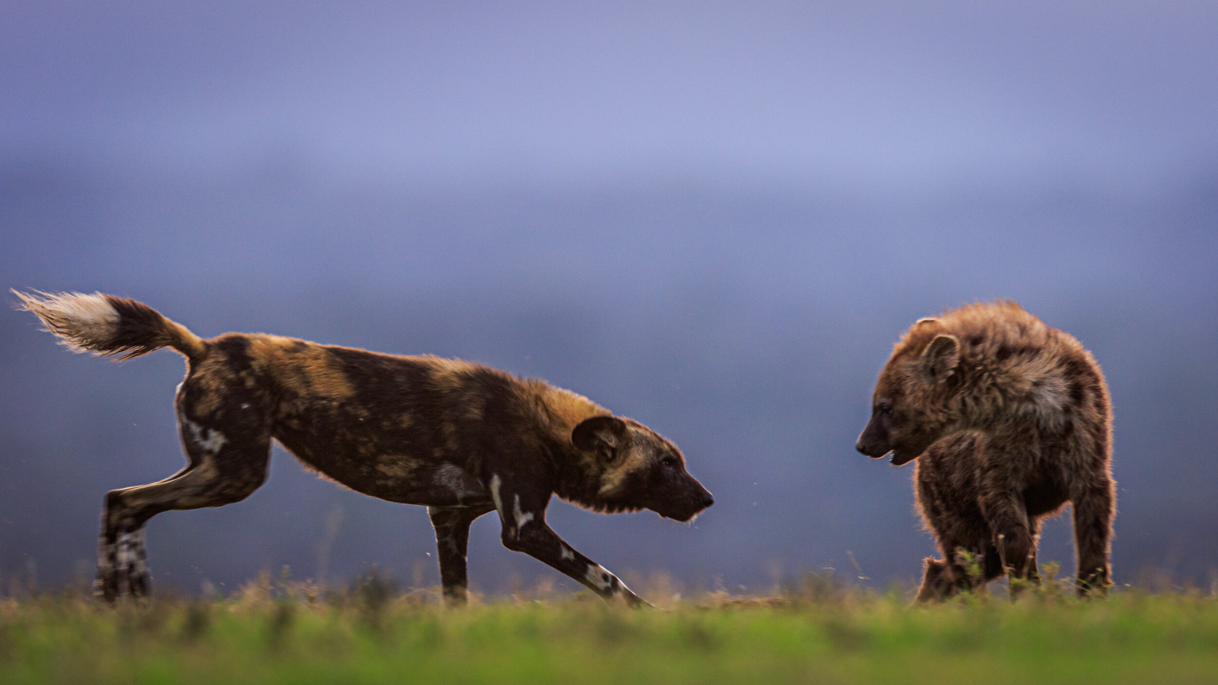 Safaricom_NatGeo_171027_44523.jpg