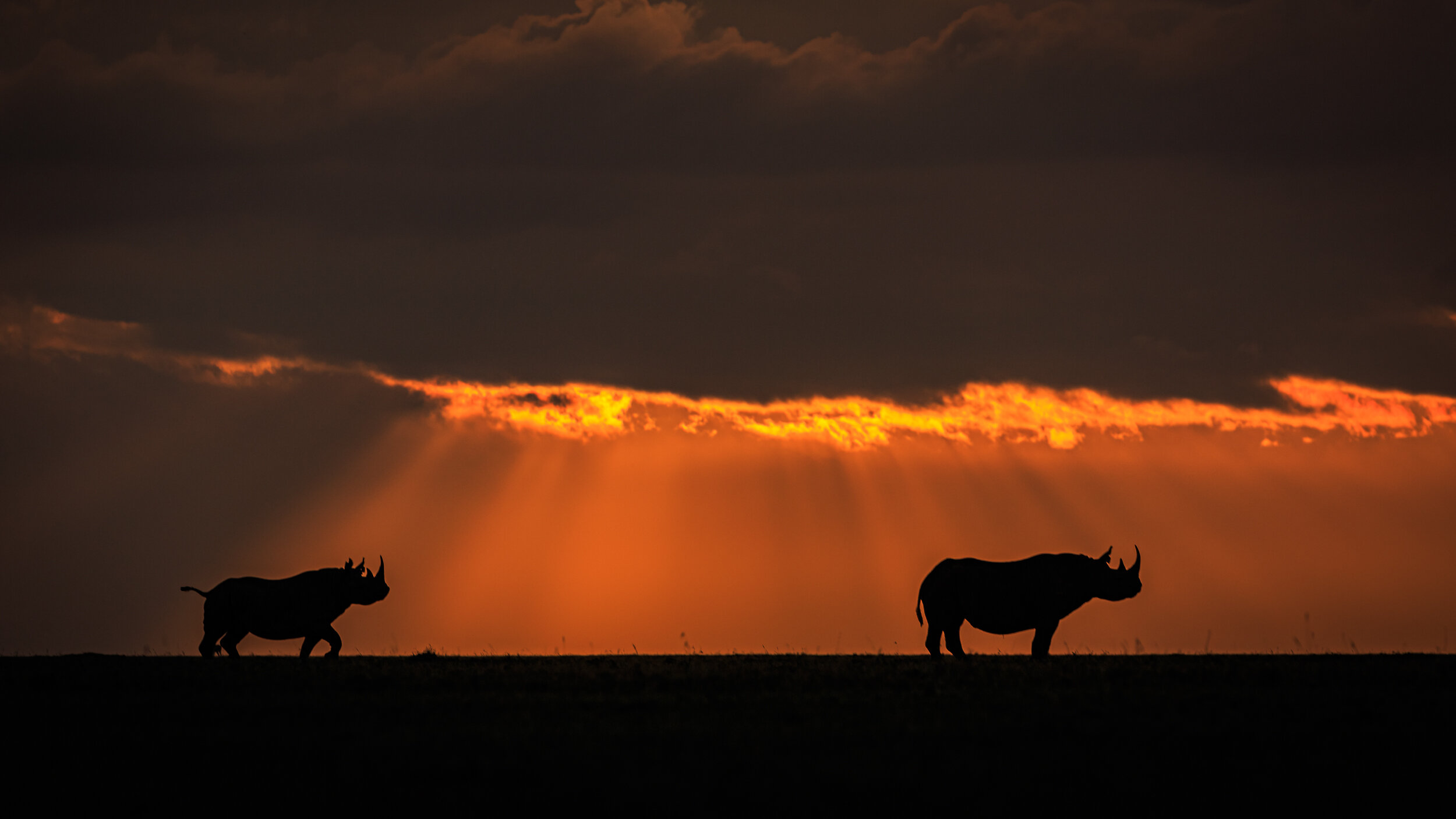 Safaricom_NatGeo_171027_46610.jpg