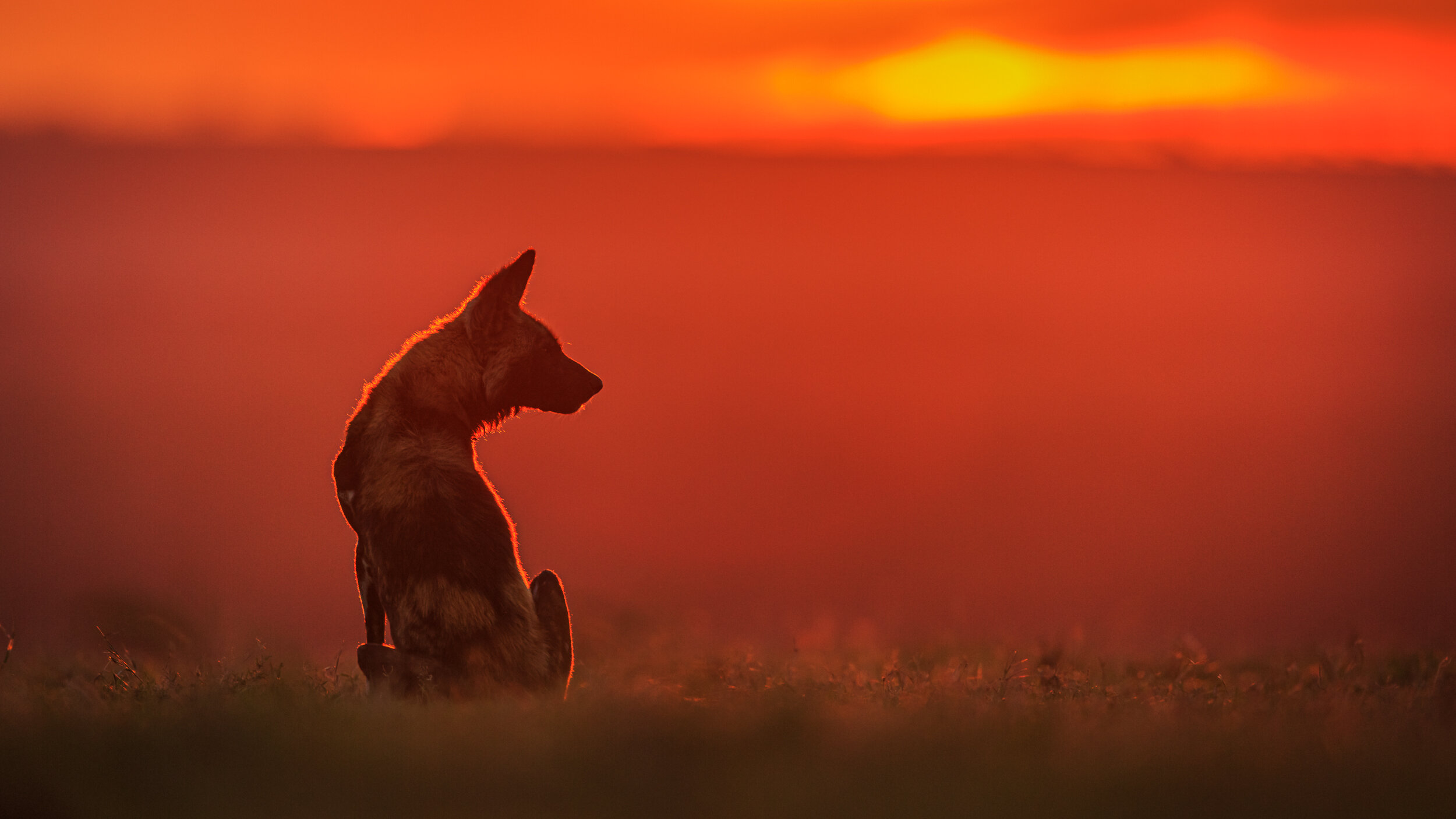 Safaricom_NatGeo_171027_47163.jpg