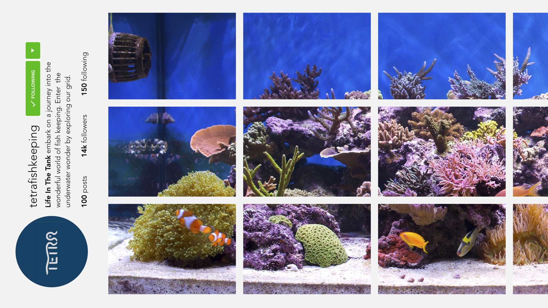 Turn Instagram on it's side by using each individual photo to make a larger than life tank.