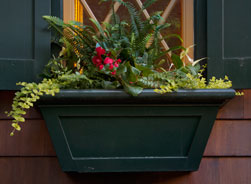 Window Box Detail
