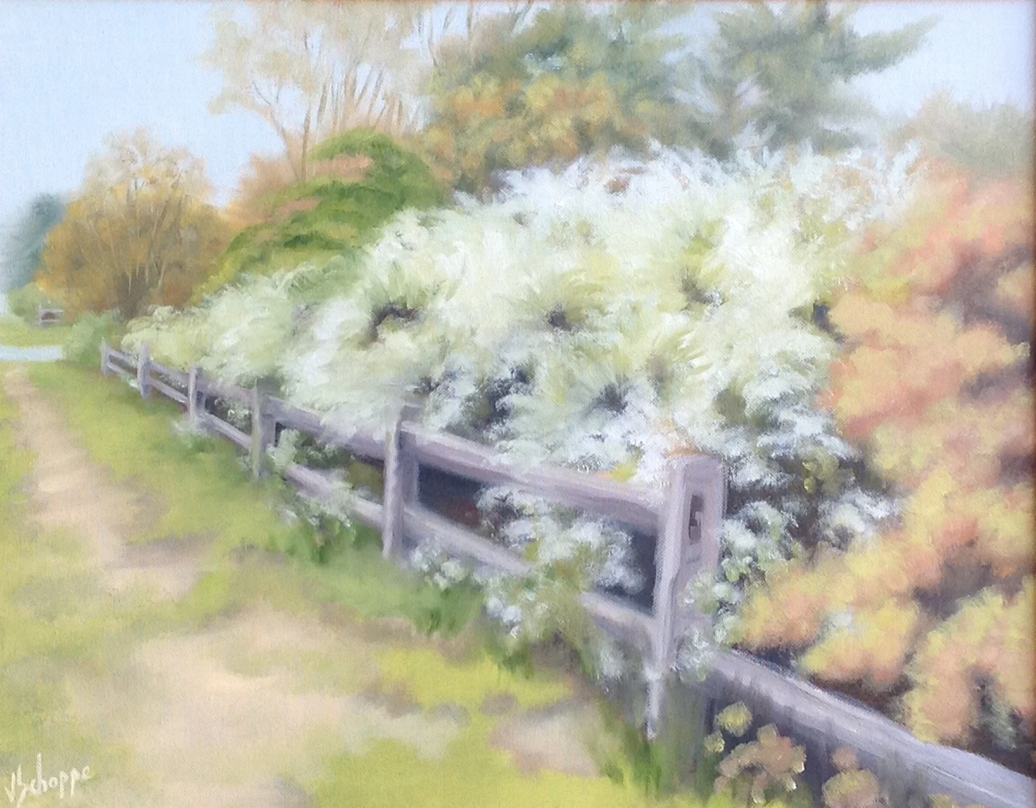 Morning Path Katama, 16x20, $750