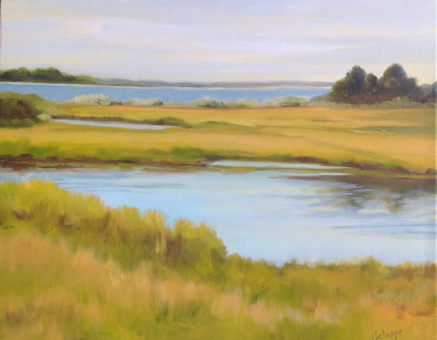 Chappaquiddick Marsh, 16x20, $750