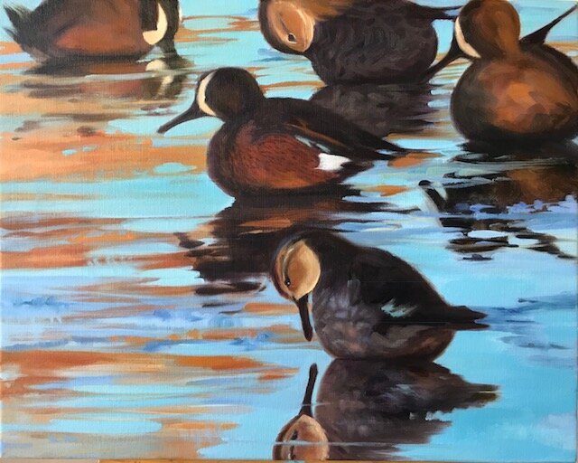 Blue Wings on Sunset Pond. 16 x20  Oil  $750