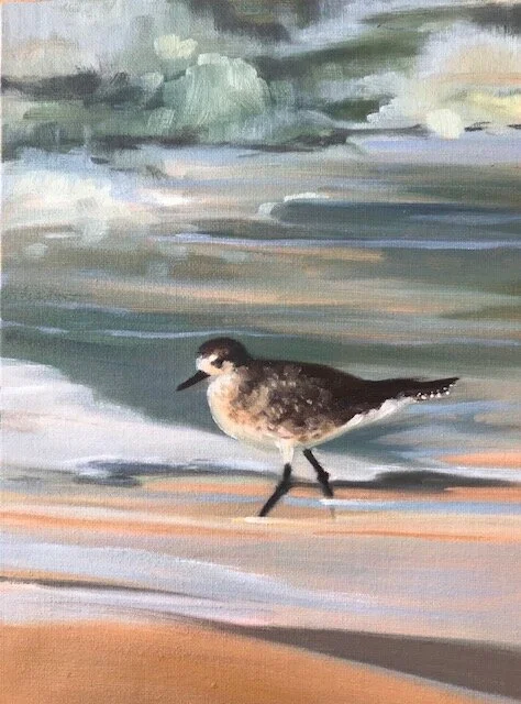 Plover in the Wrack Line       Oil     12x9   $450