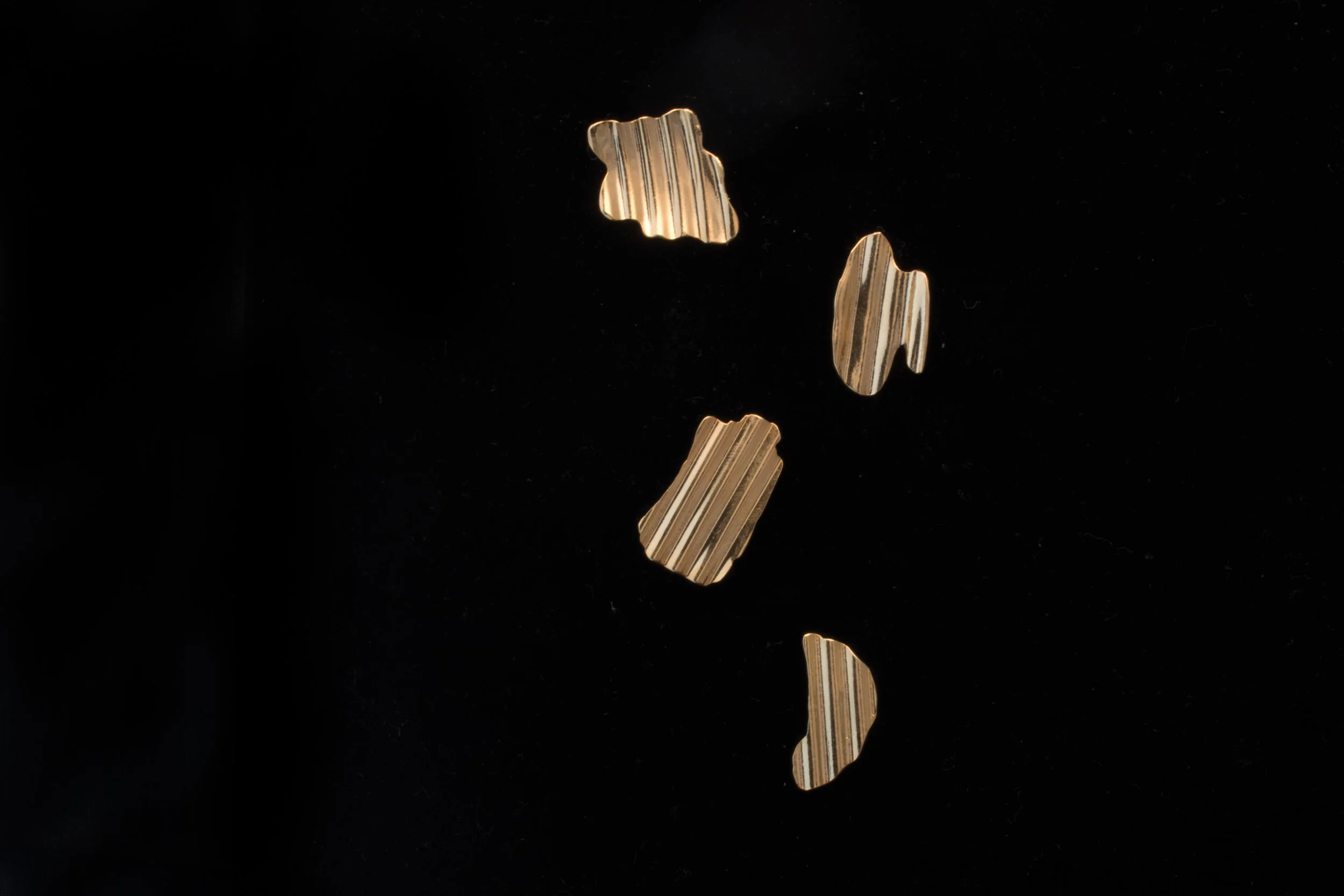 store__0443.jpg