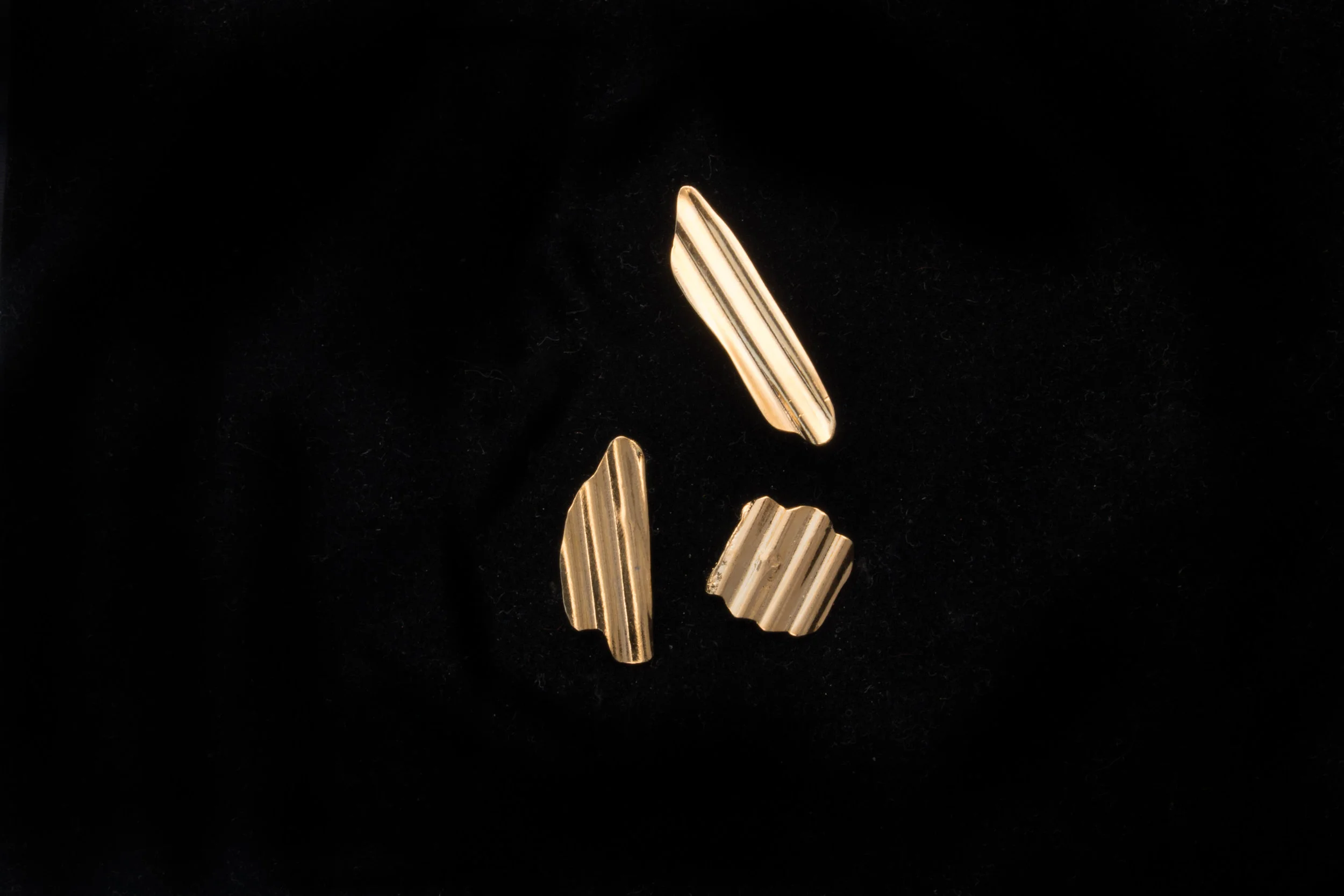 store__0436.jpg