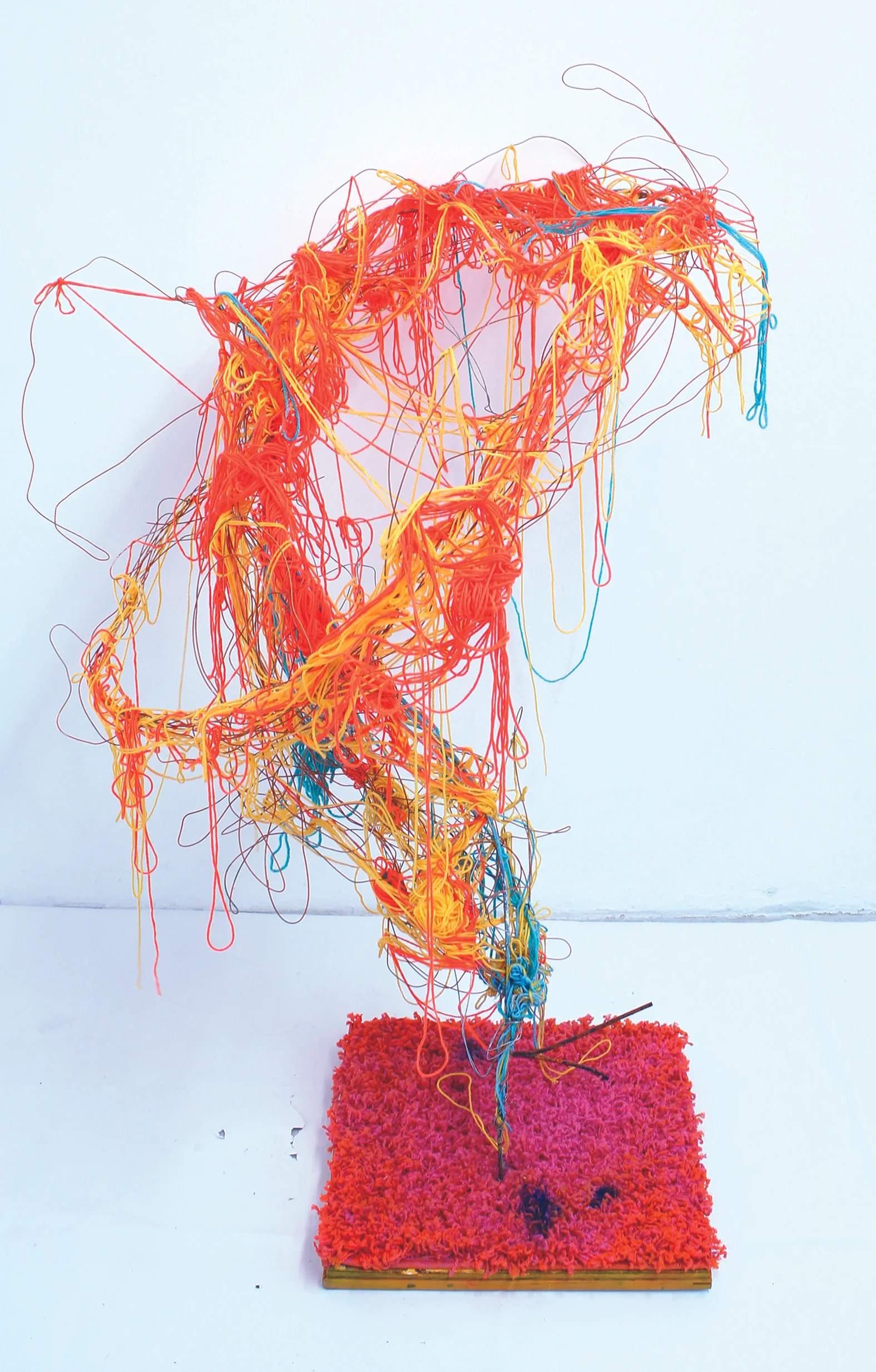 From The Ground Up (2014) Wire, wood, rug, yarn, metal and spray paint 48" x 36"x 36"