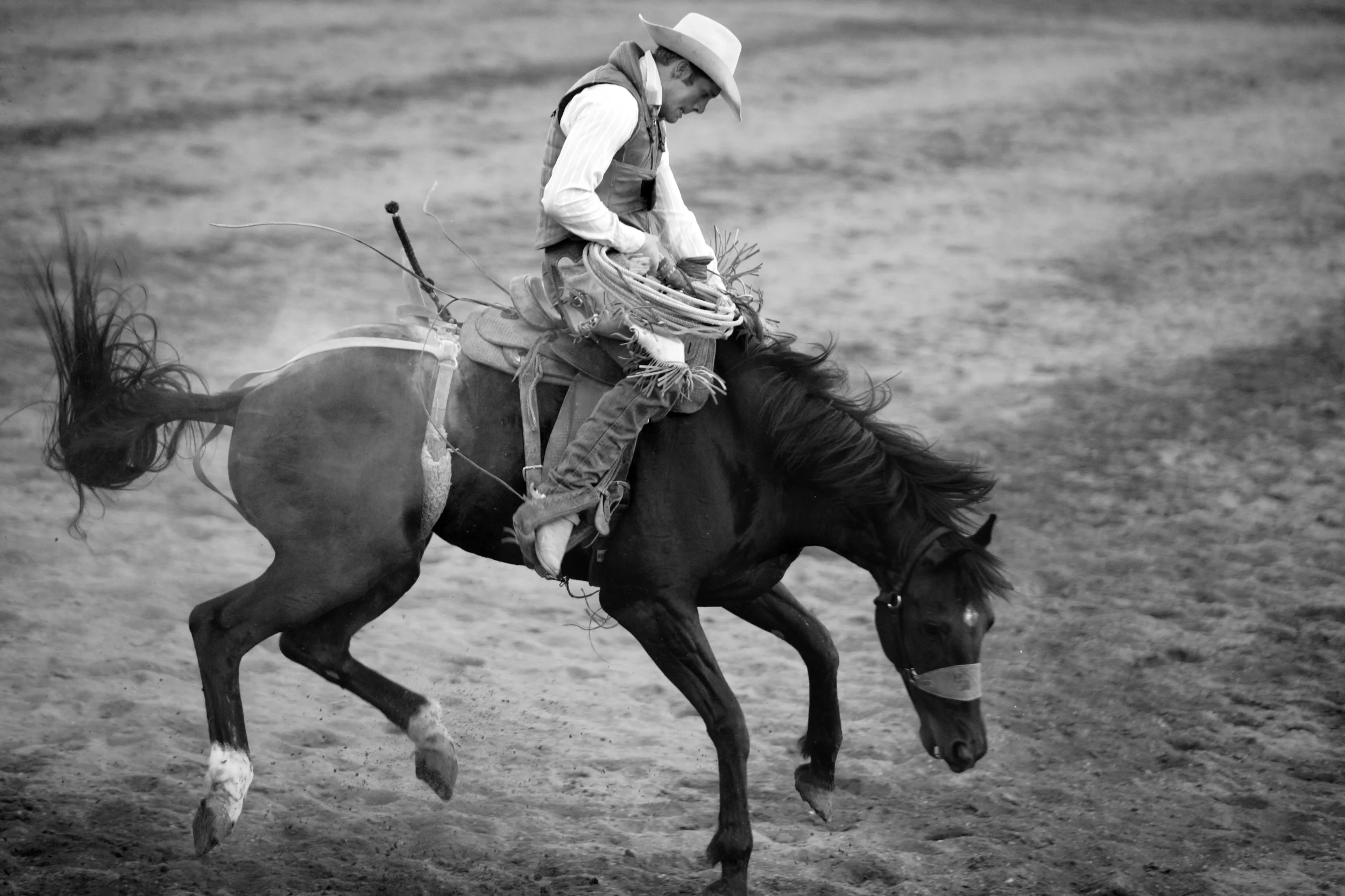 Cowboys_09.JPG