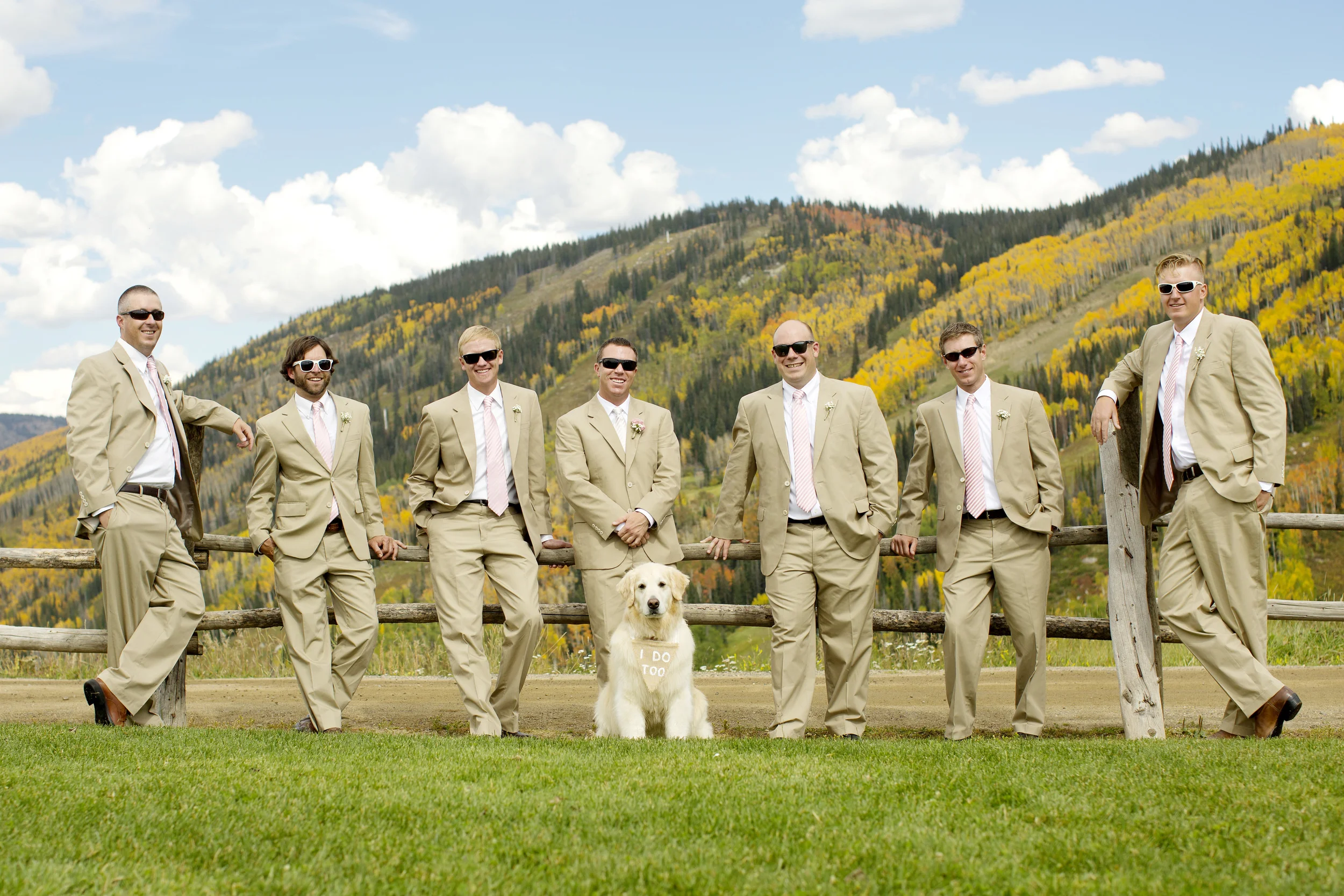 Weddings_52.JPG