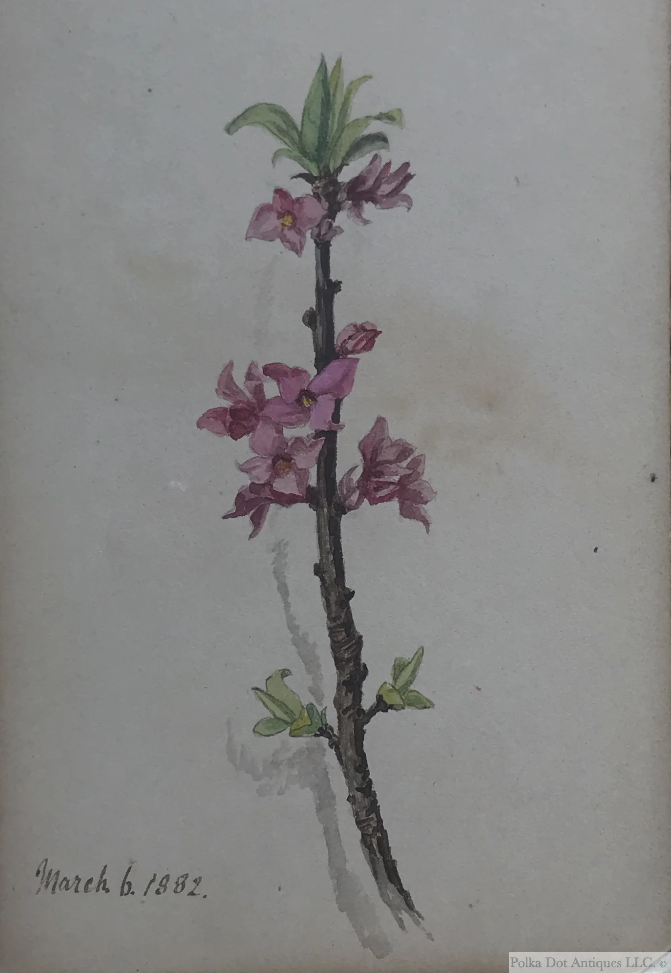 RPW393 A. Florence Barlow Sketchbook - 15.jpg
