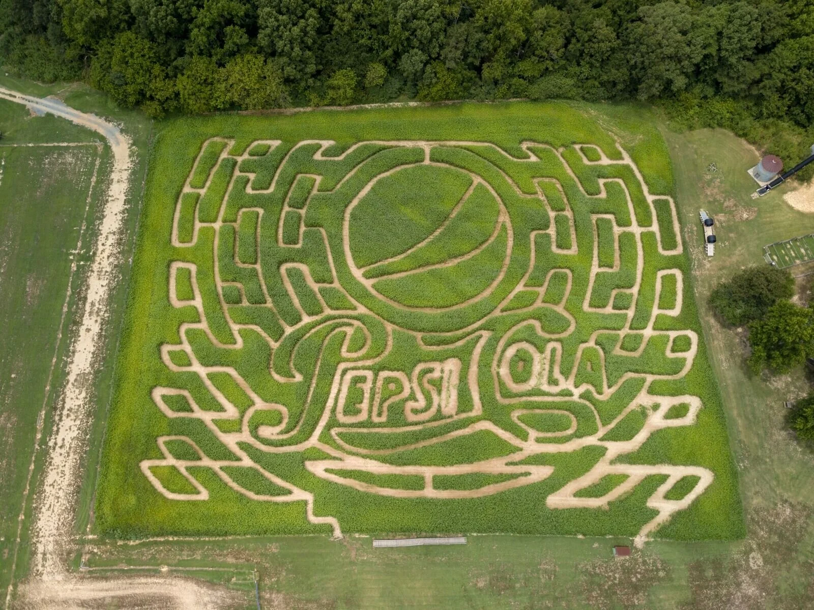 Corn Maze.jpg