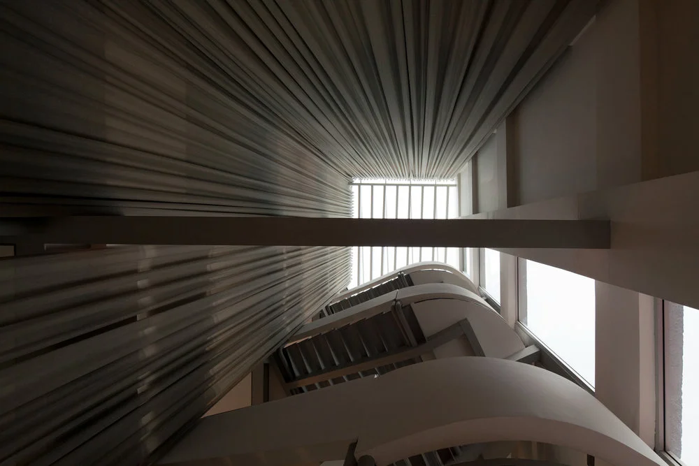 -co arquitectos_Tlalpan-7.jpg