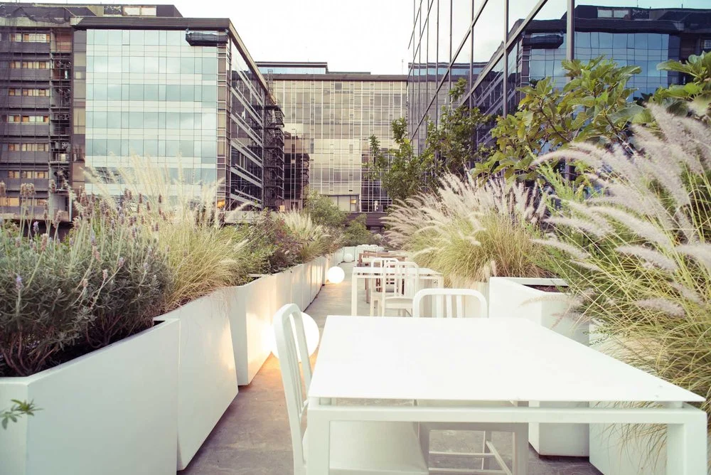 -co arquitectos_Hilti-4.jpg