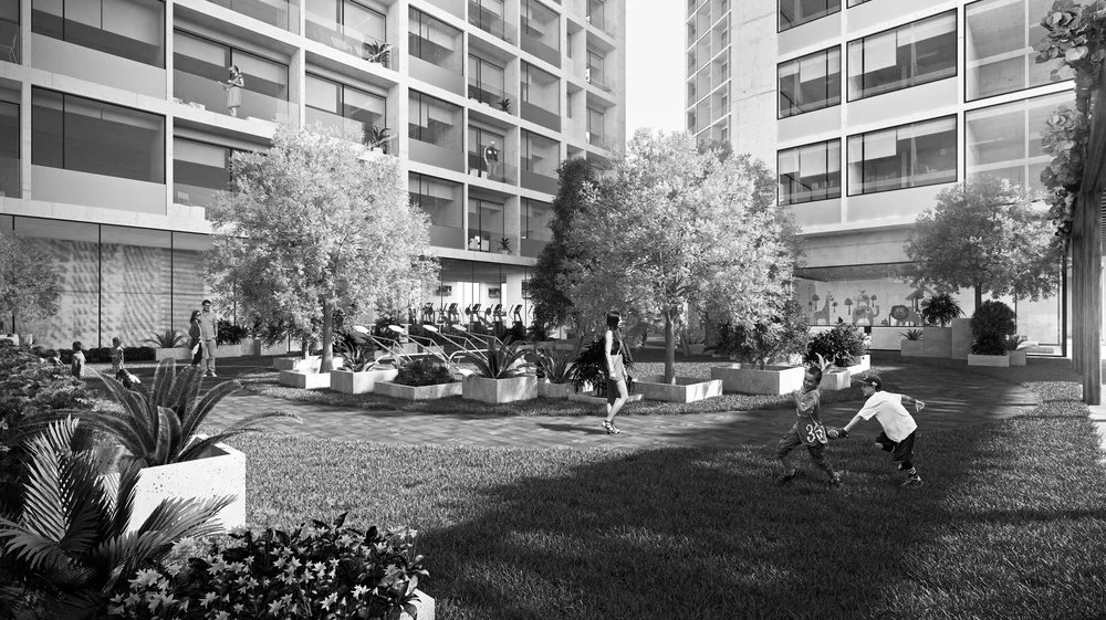 -co arquitectos_Alto Pedregal-4.jpg