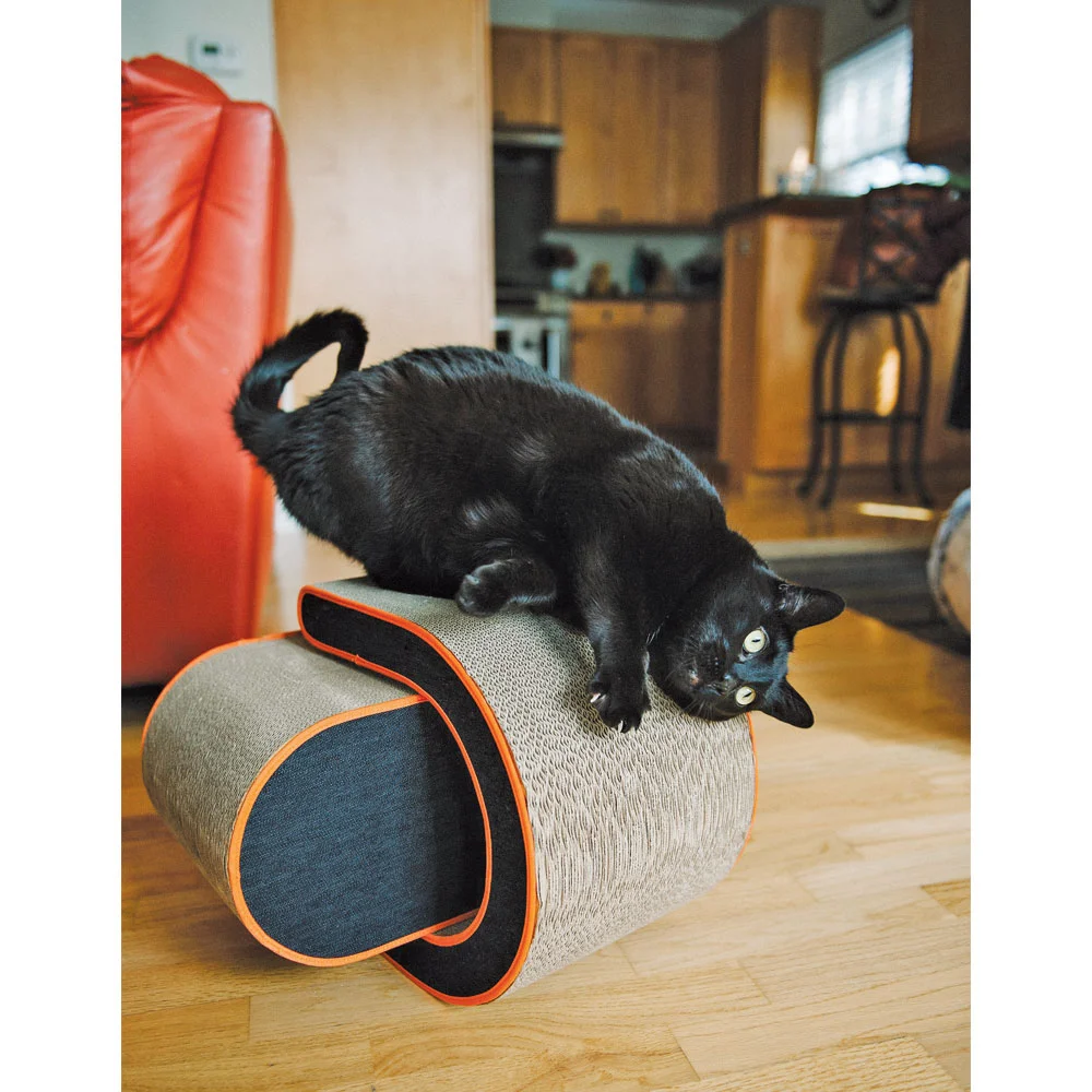 P.L.A.Y-Catscratcher.jpg