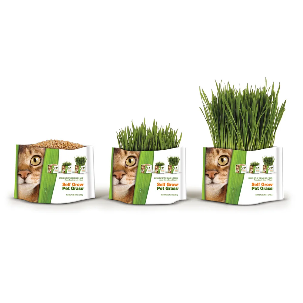 Bellrocks-SelfGrowingGrass.jpg