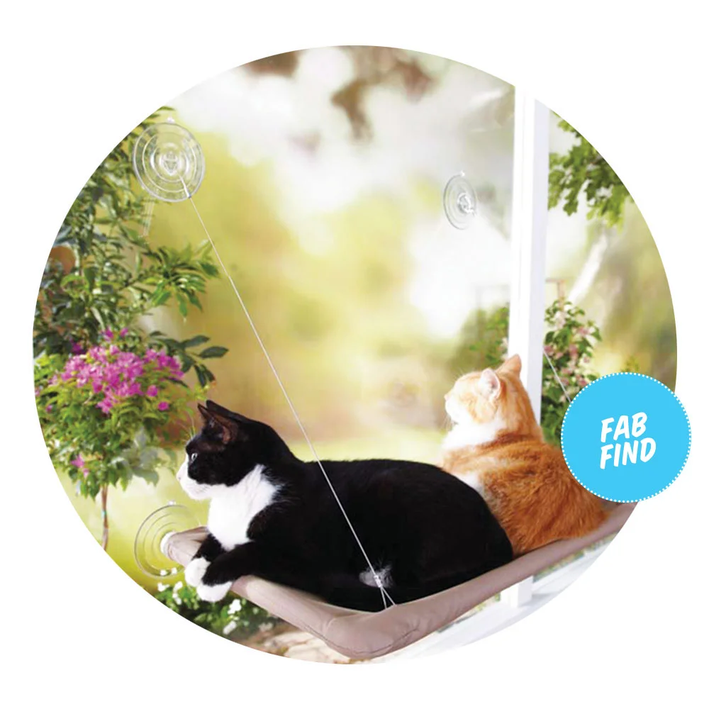 OsterPet-SunnyPerchBadge.jpg